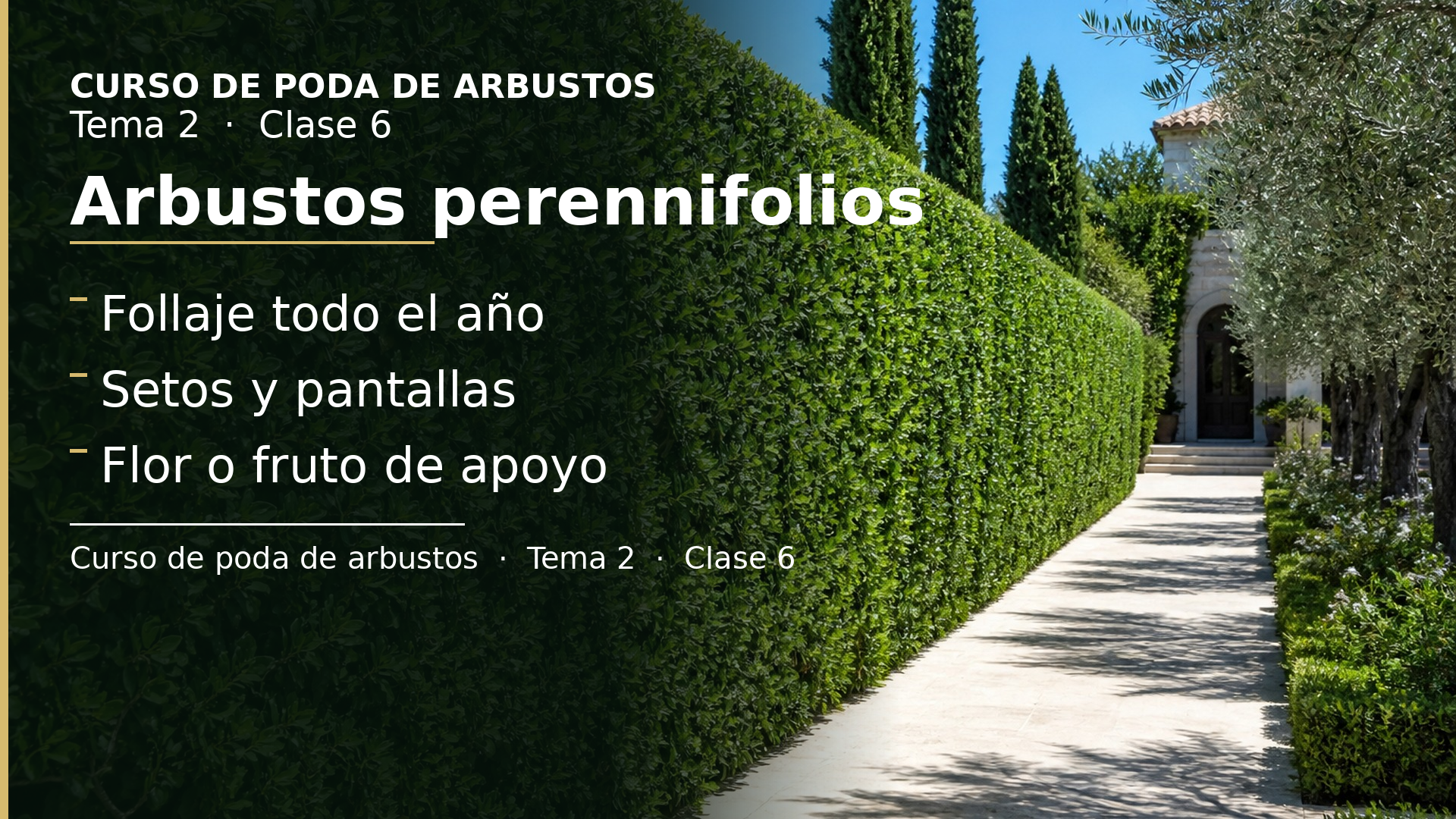 Diapositiva de la clase 6: Arbustos perennifolios