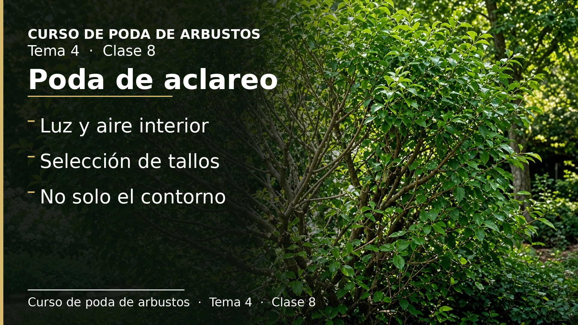 Diapositiva de la clase 8: Poda de aclareo