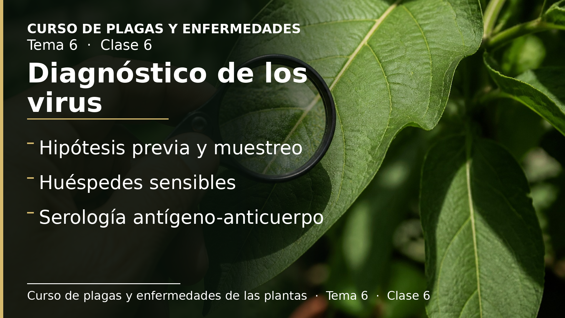 Diapositiva de la clase 6: Diagnóstico de los virus