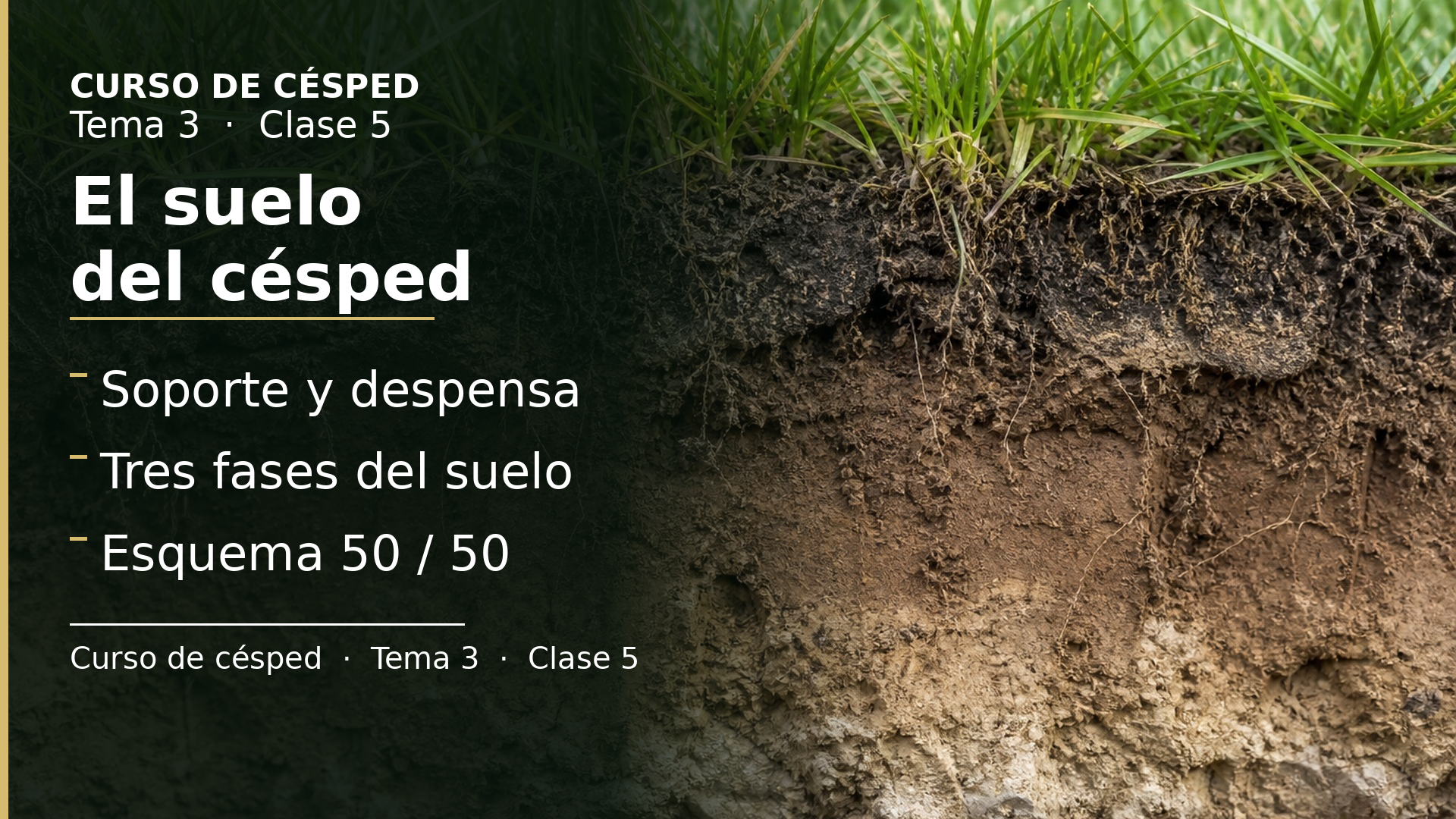Diapositiva de la clase 5: El suelo del césped