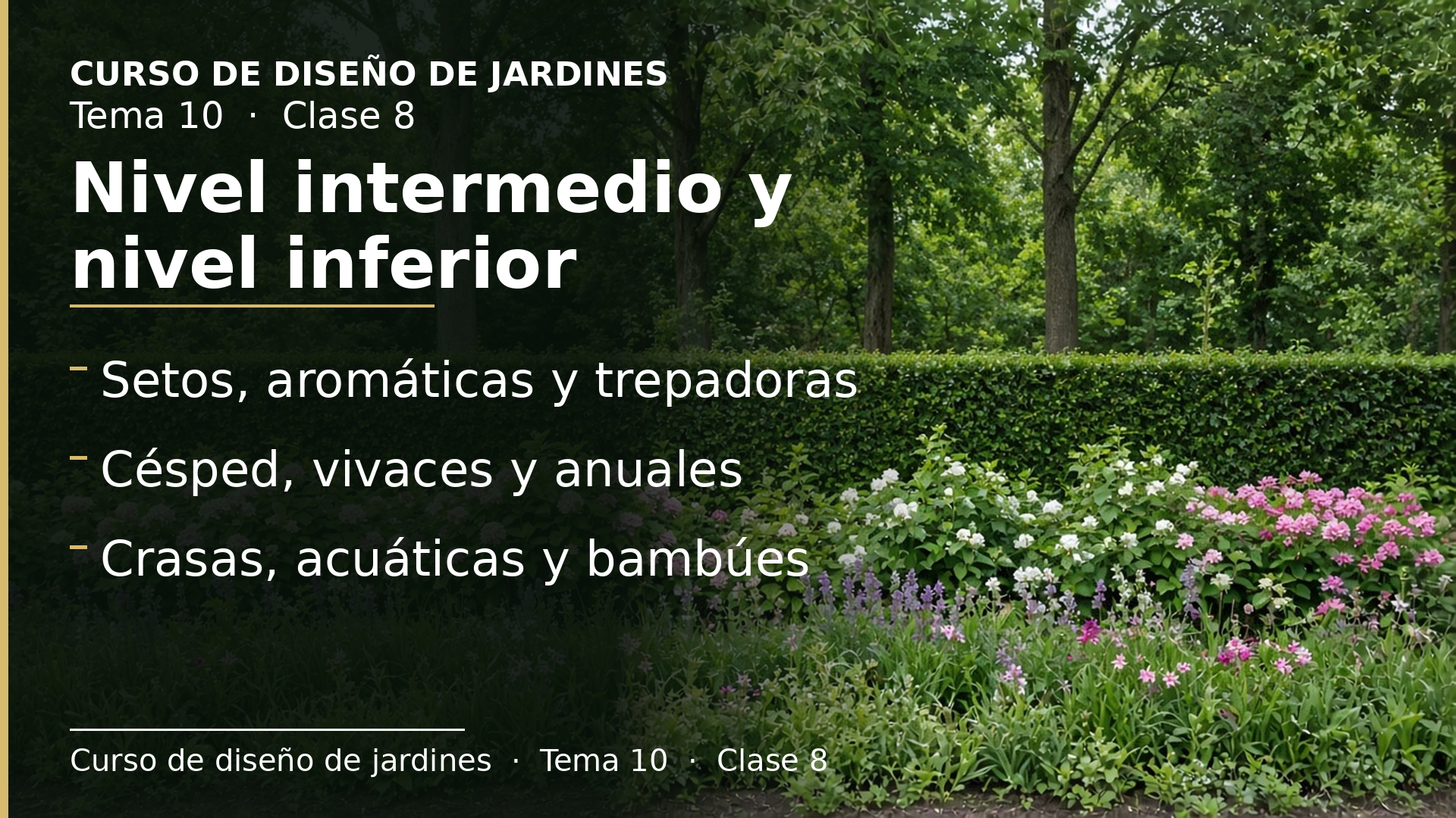 Diapositiva de la clase 8: Nivel intermedio y nivel inferior
