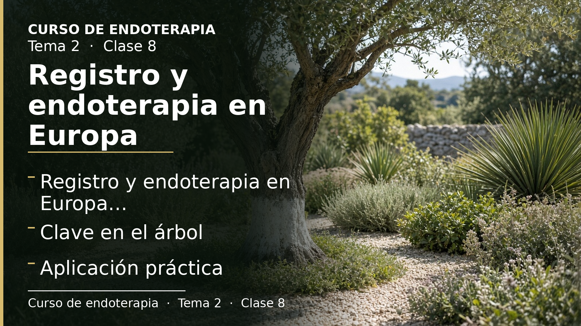 Diapositiva de la clase 8: Registro y endoterapia en Europa