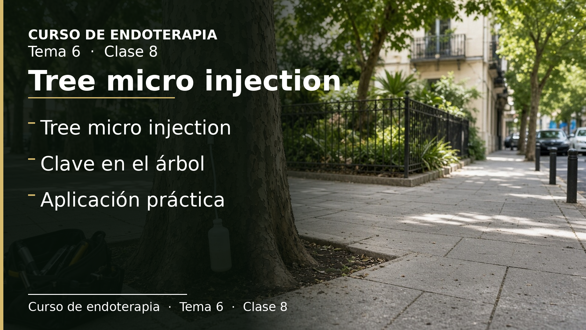 Diapositiva de la clase 8: Tree micro injection