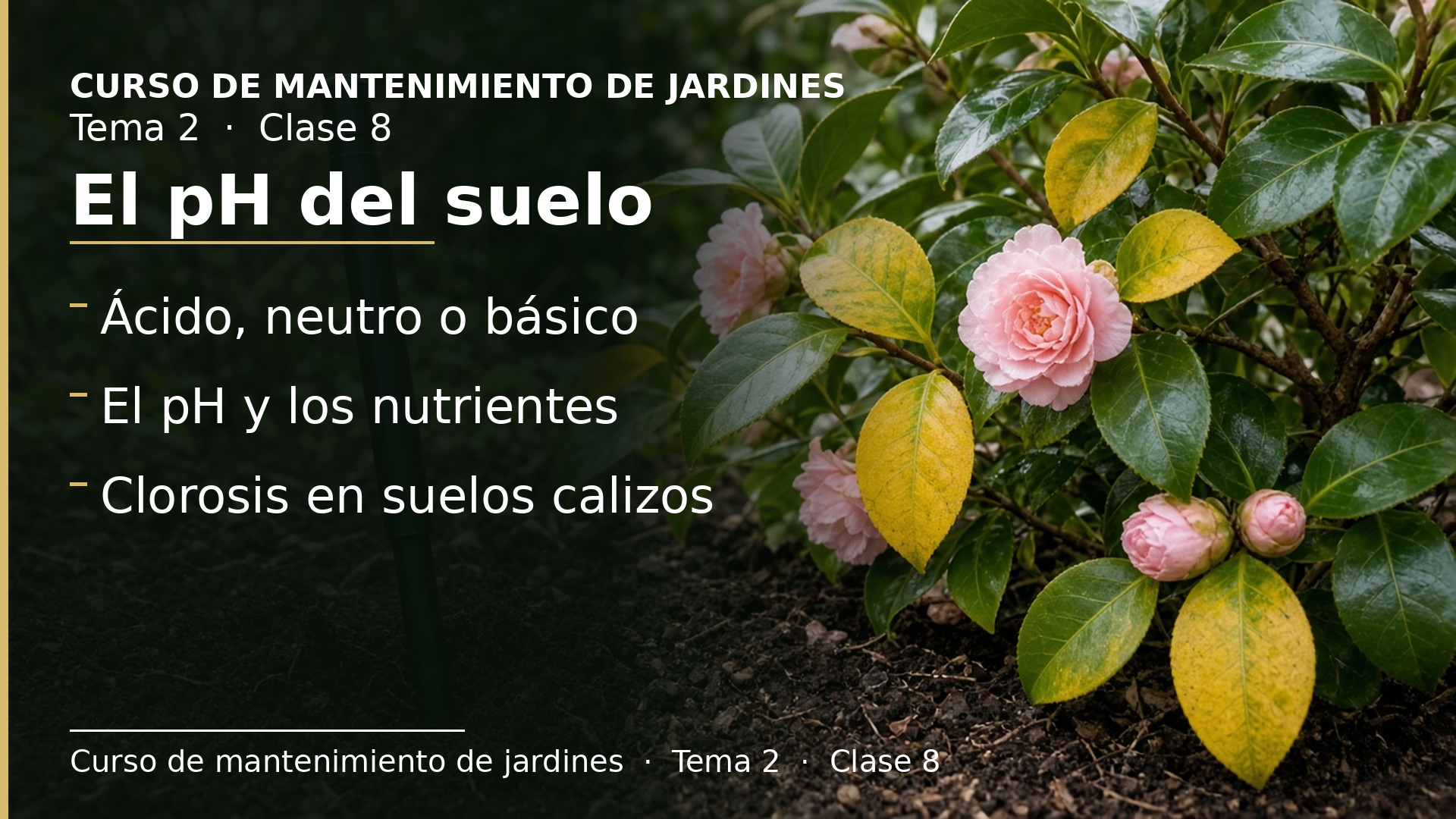 Diapositiva de la clase 8: El pH del suelo