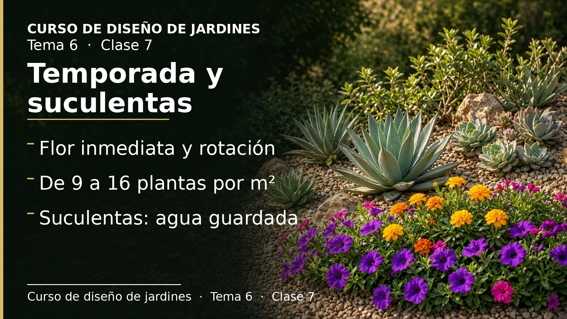 Diapositiva de la clase 7: Plantas de temporada y suculentas