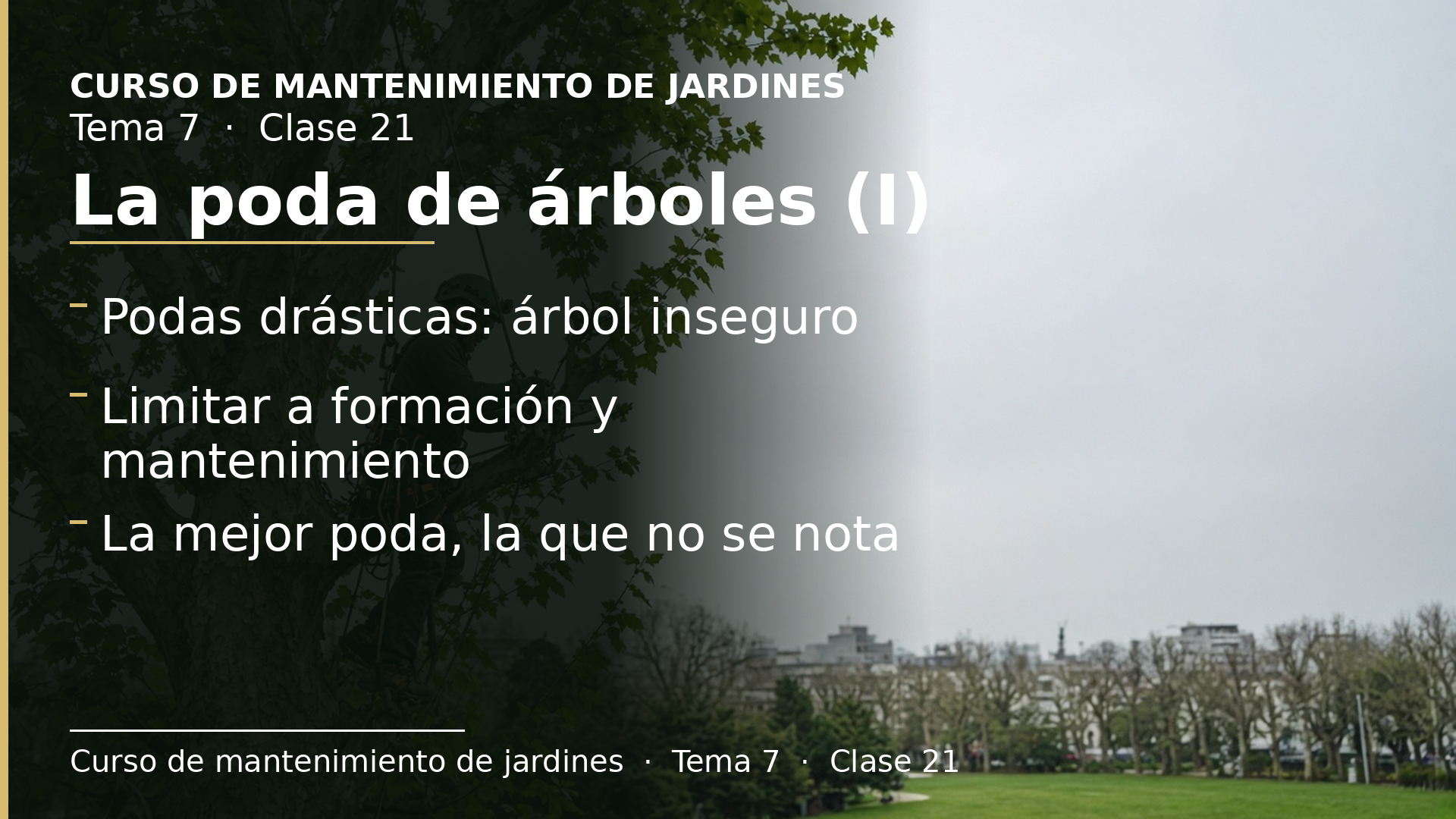 Diapositiva de la clase 21: La poda de árboles (I)
