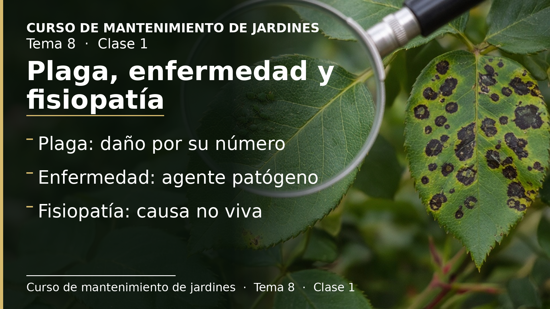 Diapositiva de la clase 1: Plaga, enfermedad y fisiopatía: los conceptos