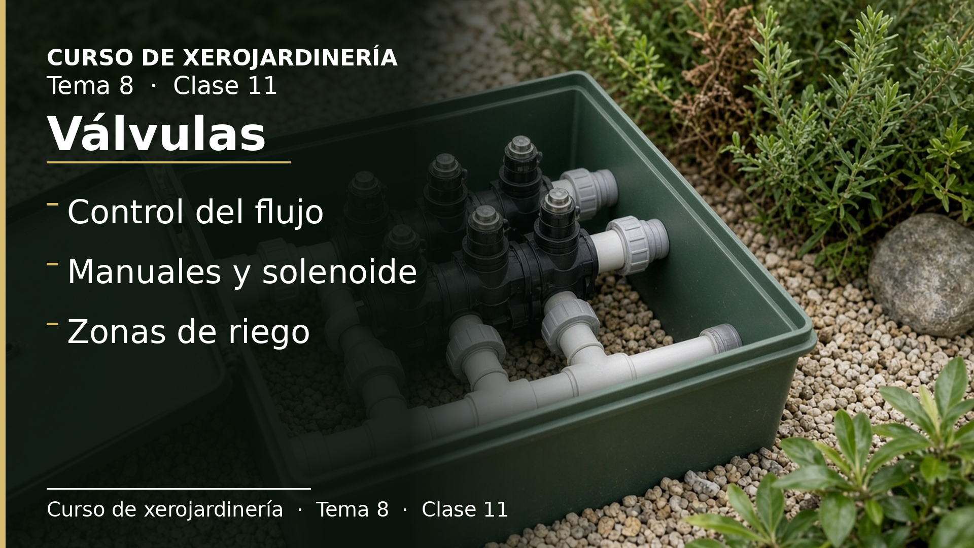 Diapositiva de la clase 11: Válvulas