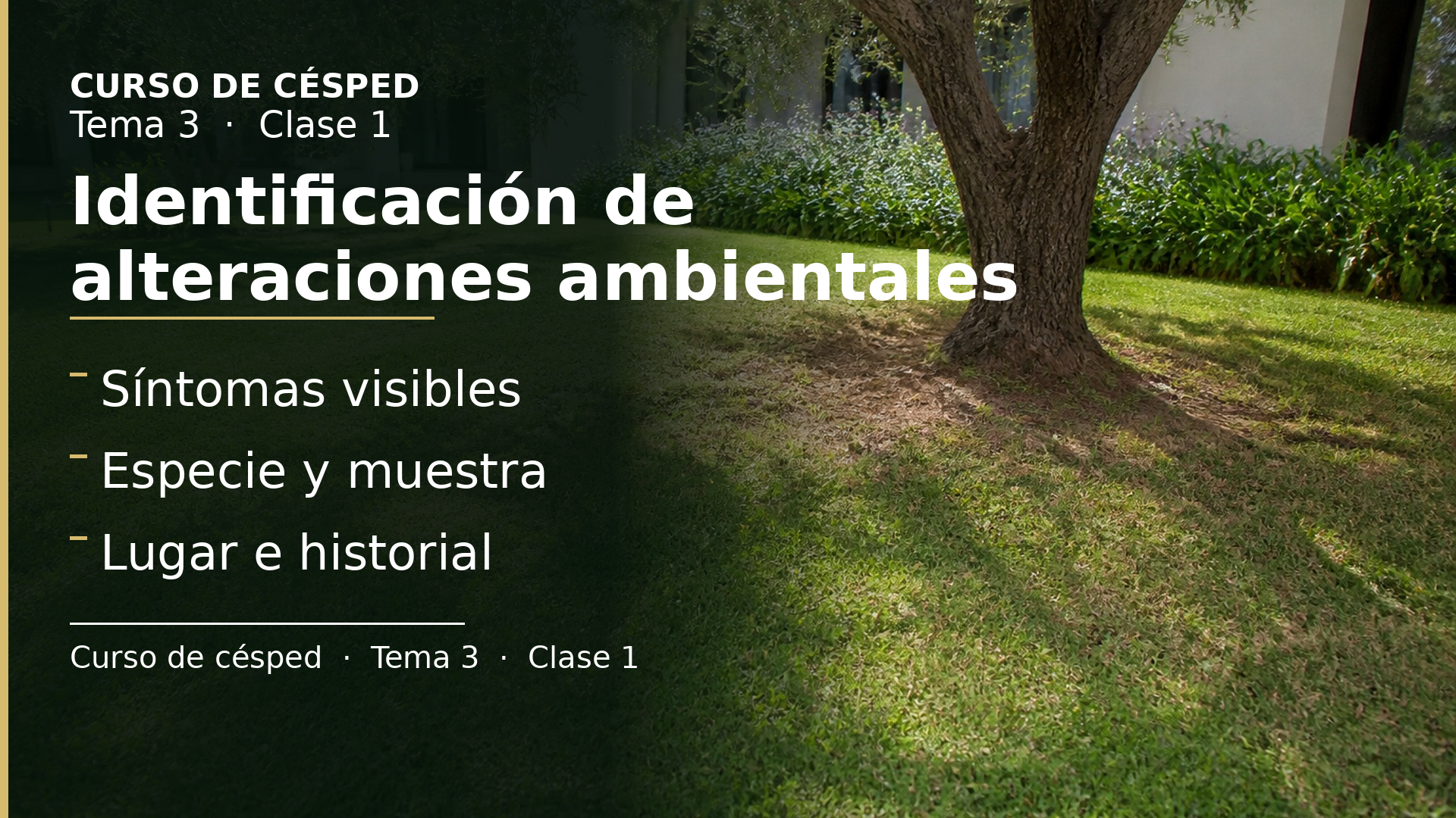 Diapositiva de la clase 1: Identificación de alteraciones por causas ambientales