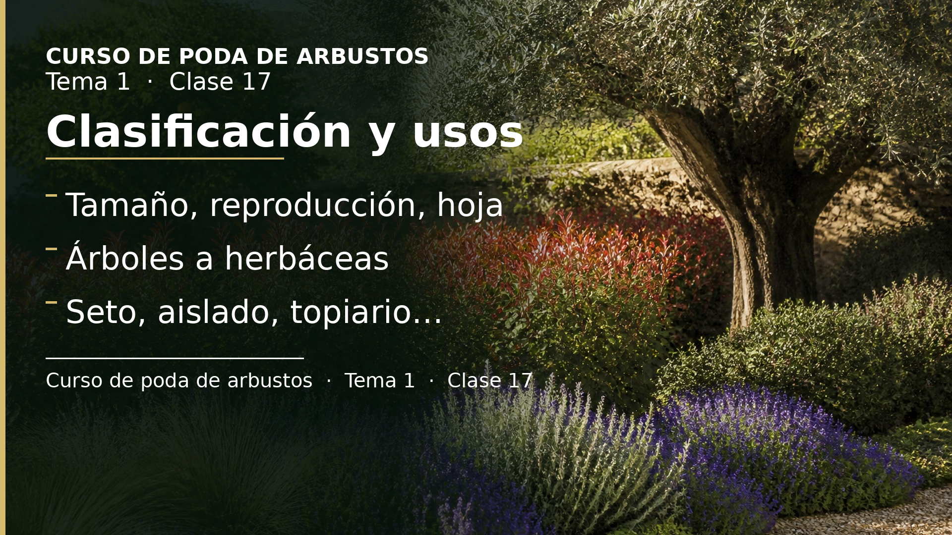 Diapositiva de la clase 17: Plantas ornamentales: clasificación y usos