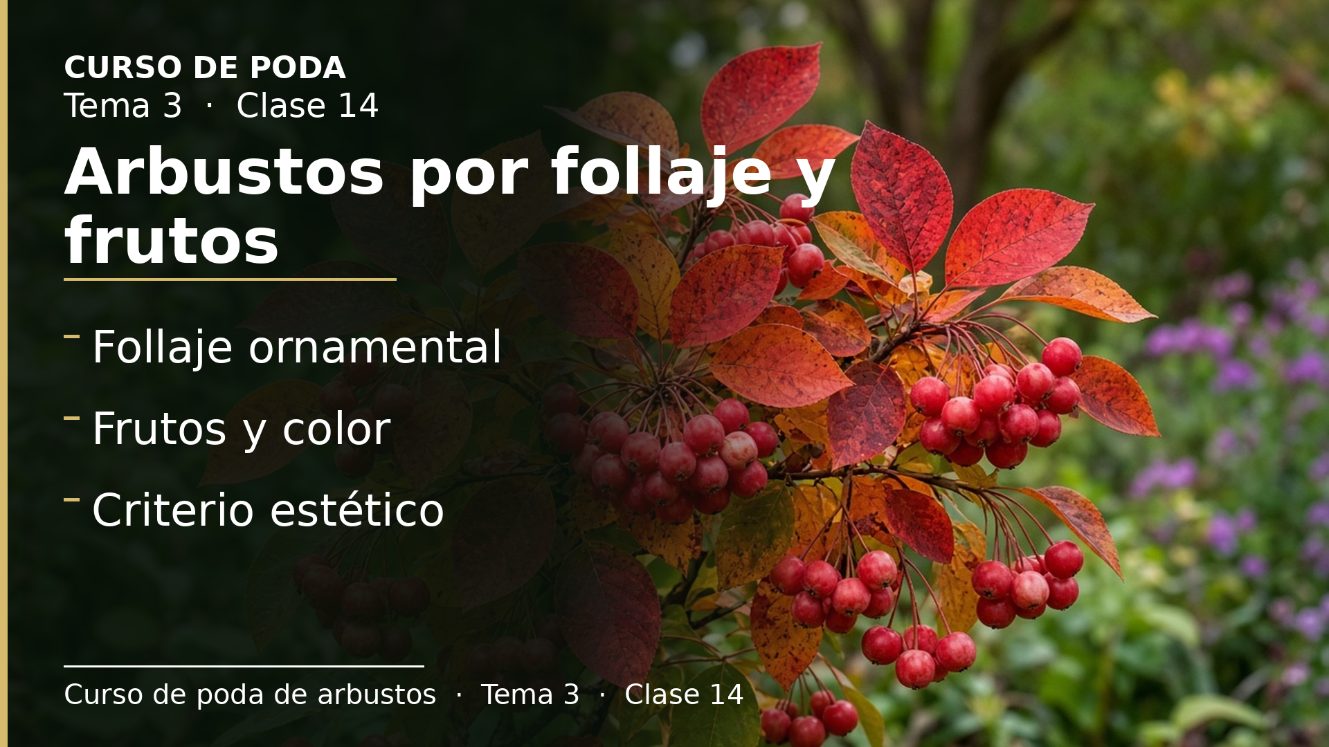 Diapositiva de la clase 14: Arbustos por follaje y frutos