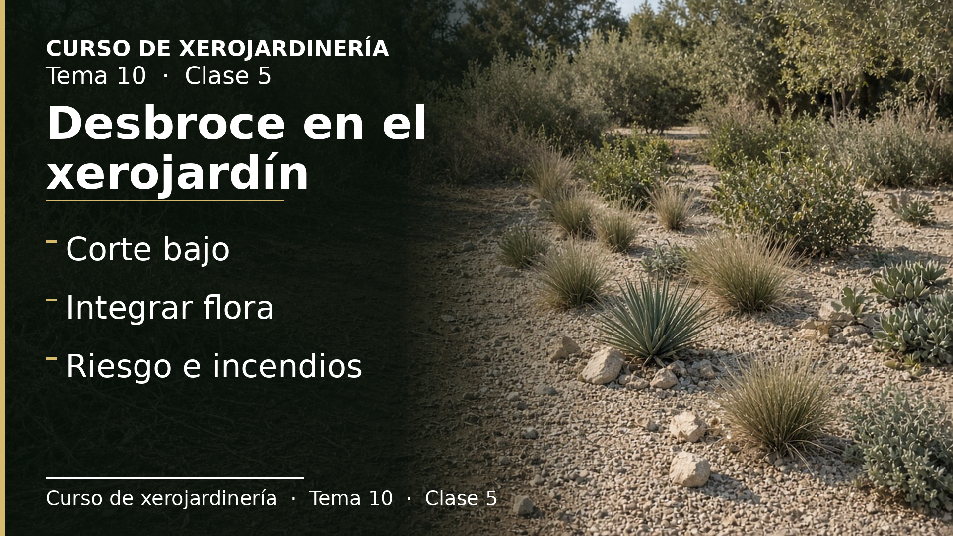 Diapositiva de la clase 5: Desbroce