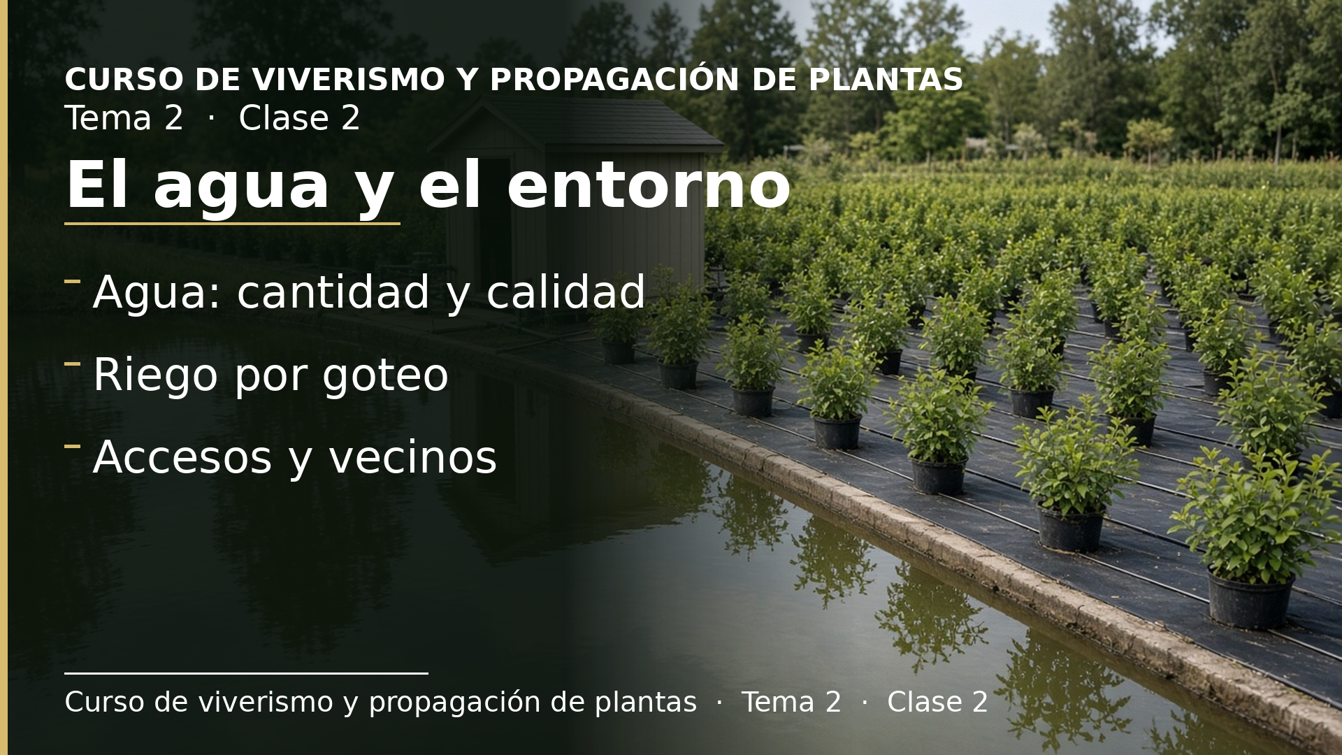Diapositiva de la clase 2: El agua y el entorno