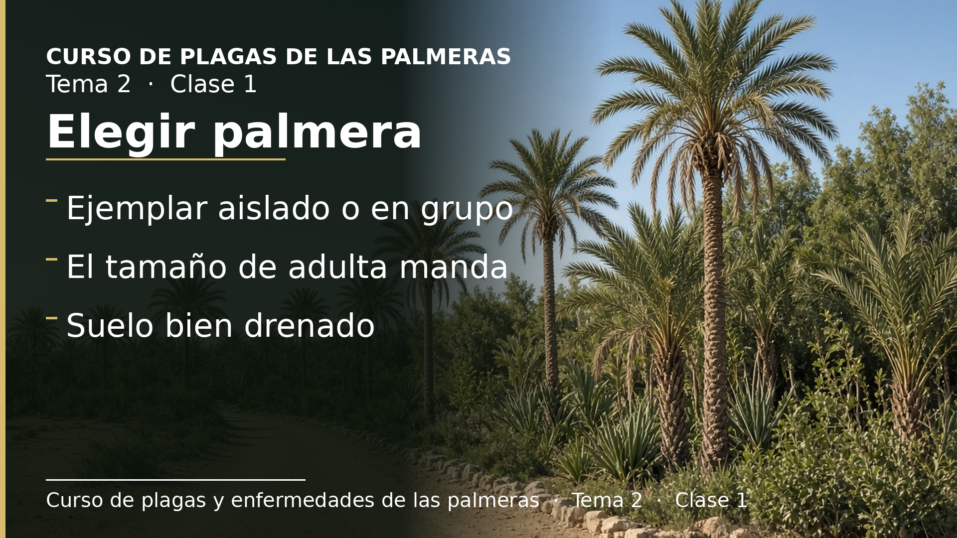 Diapositiva de la clase 1: Elegir palmera: paisaje, tamaño y suelo