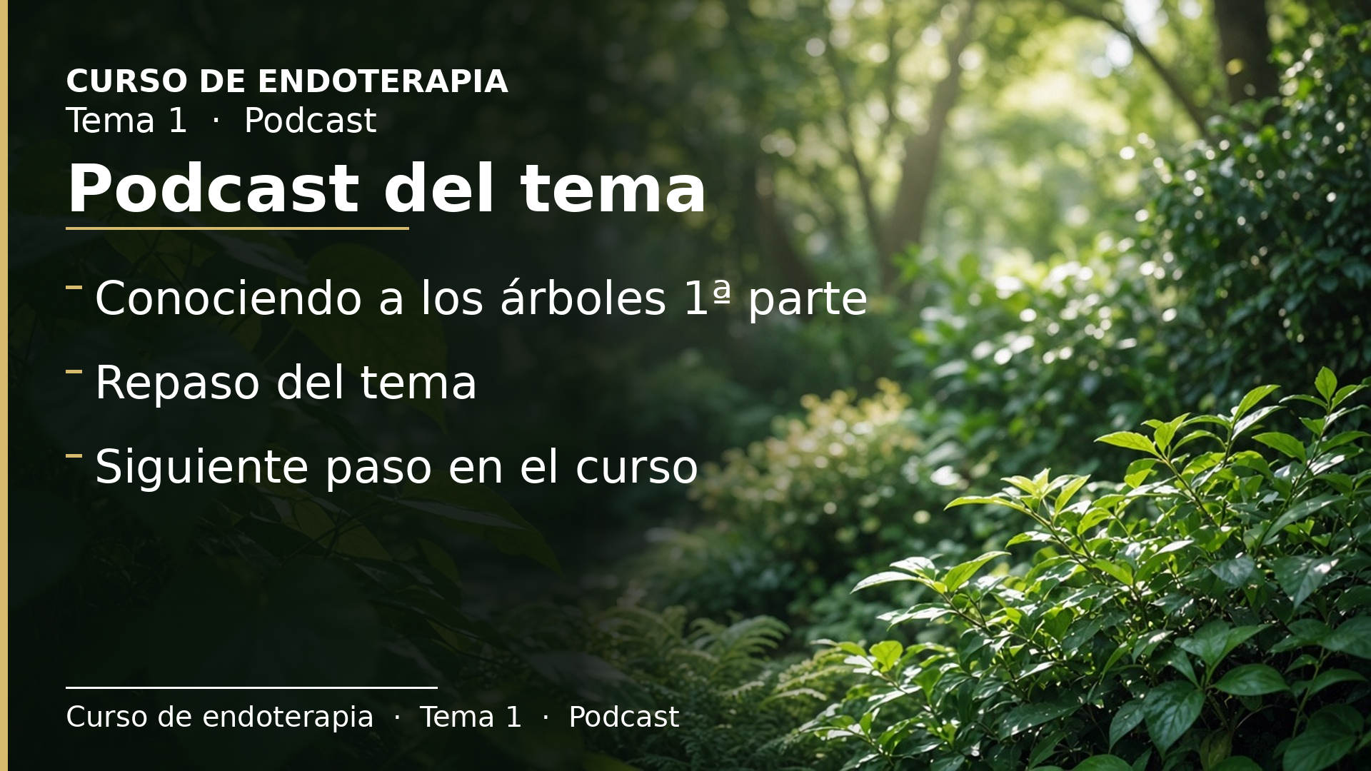 Diapositiva del resumen: Podcast del tema 1 · Conociendo los árboles