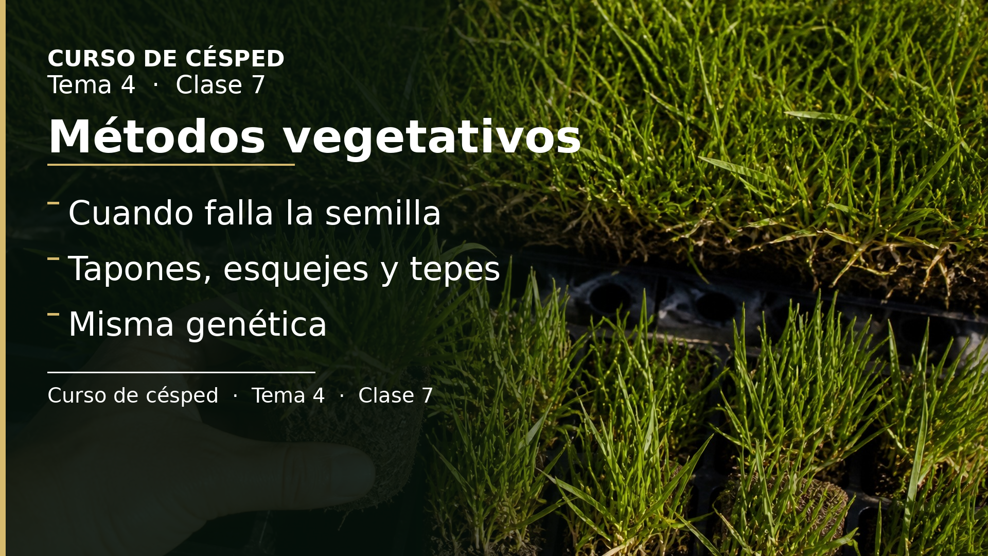 Diapositiva de la clase 7: Métodos vegetativos