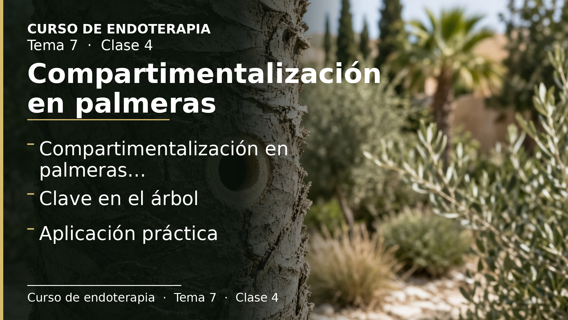 Diapositiva de la clase 4: Compartimentalización en palmeras
