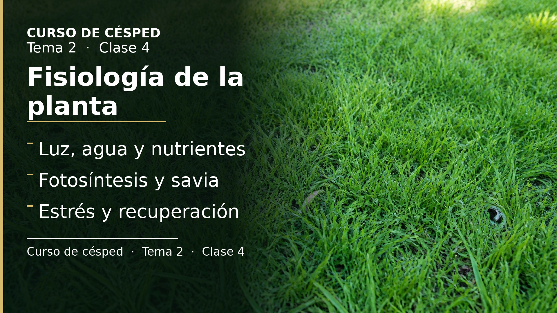 Diapositiva de la clase 4: Fisiología de la planta