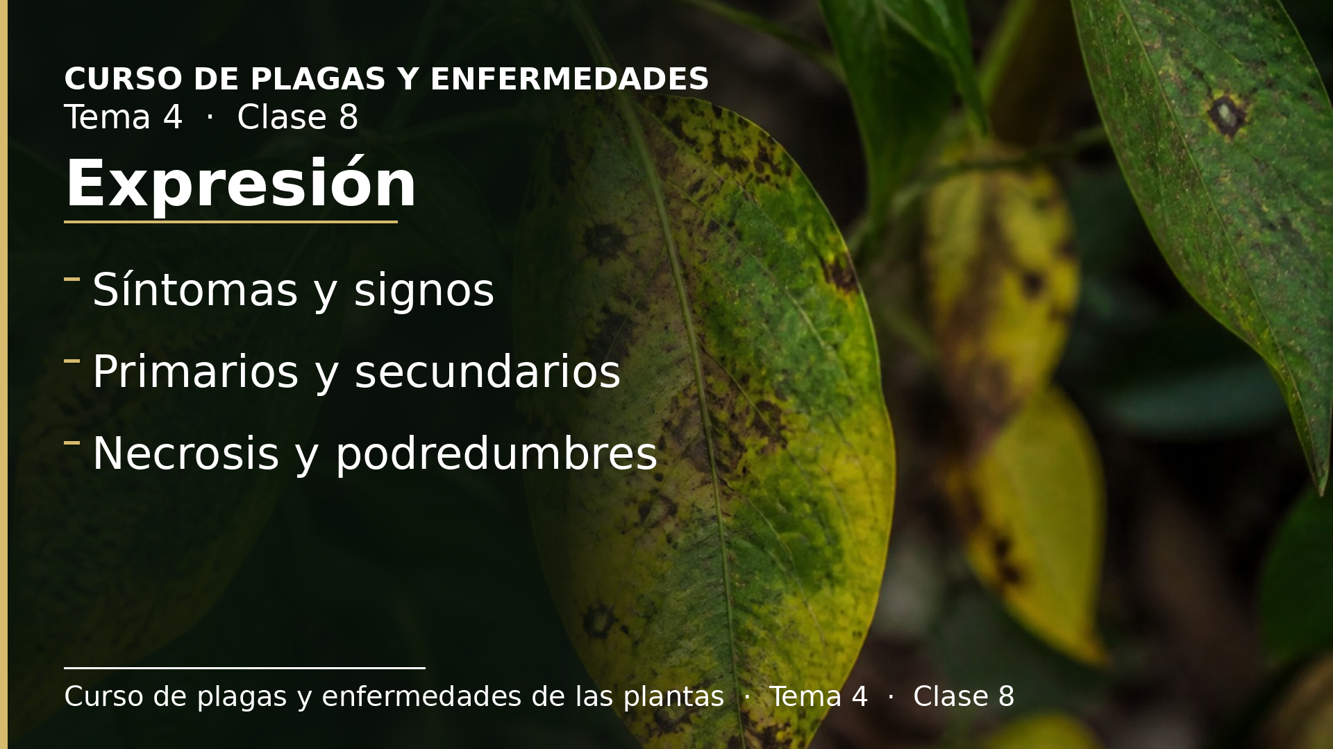 Diapositiva de la clase 8: Expresión de la enfermedad