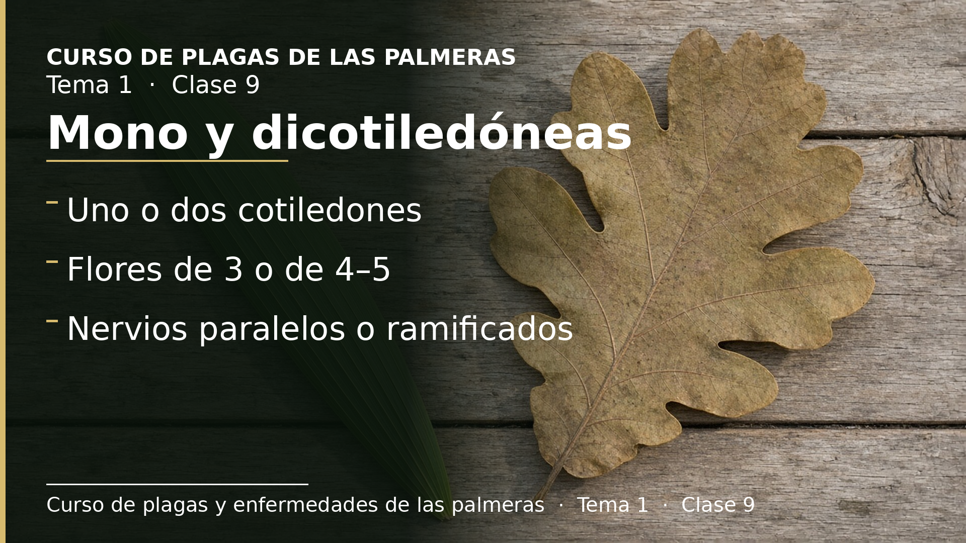Diapositiva de la clase 9: Monocotiledóneas y dicotiledóneas: semillas, polen, flores y hojas
