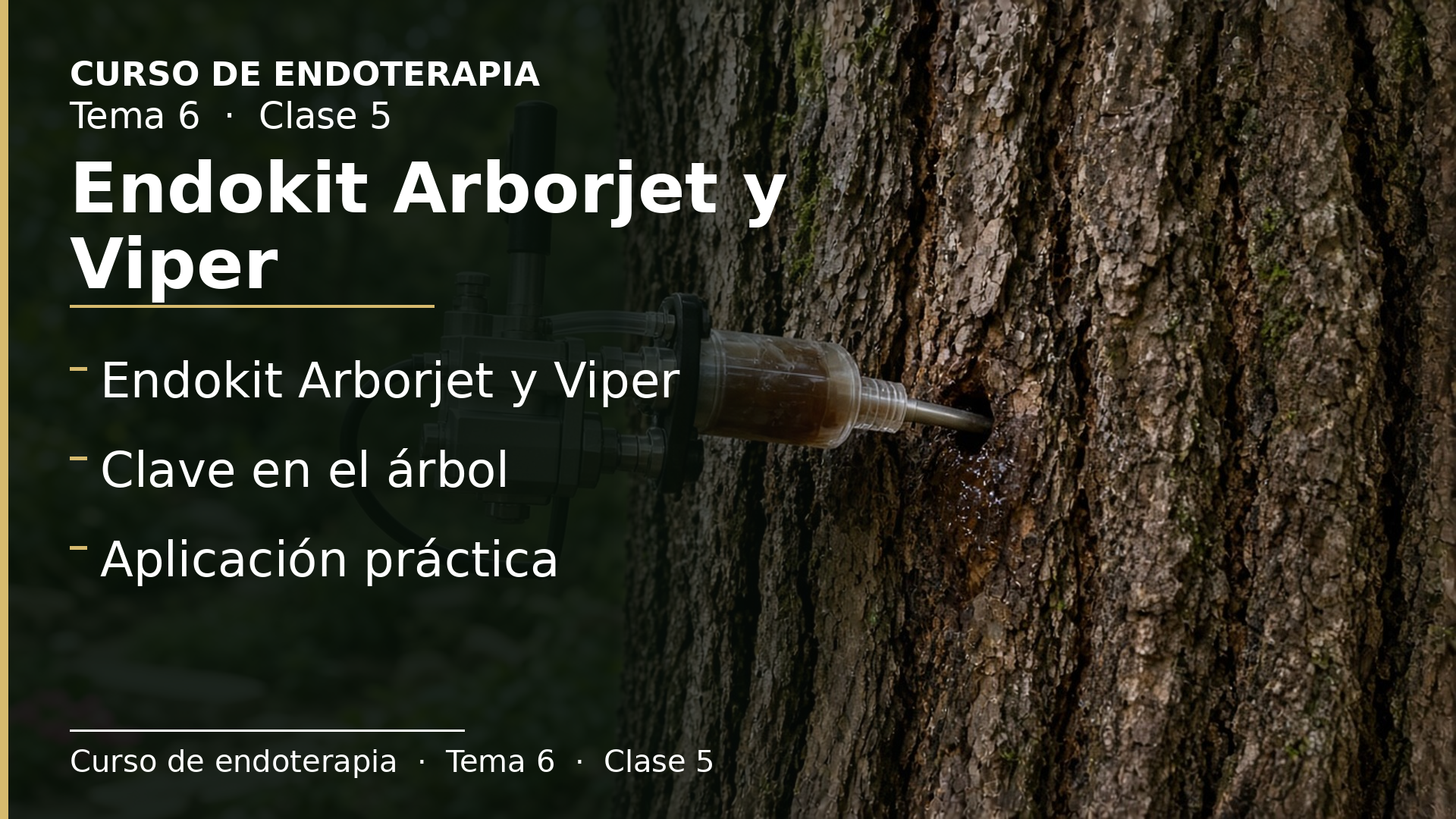 Diapositiva de la clase 5: Endokit Arborjet y Viper