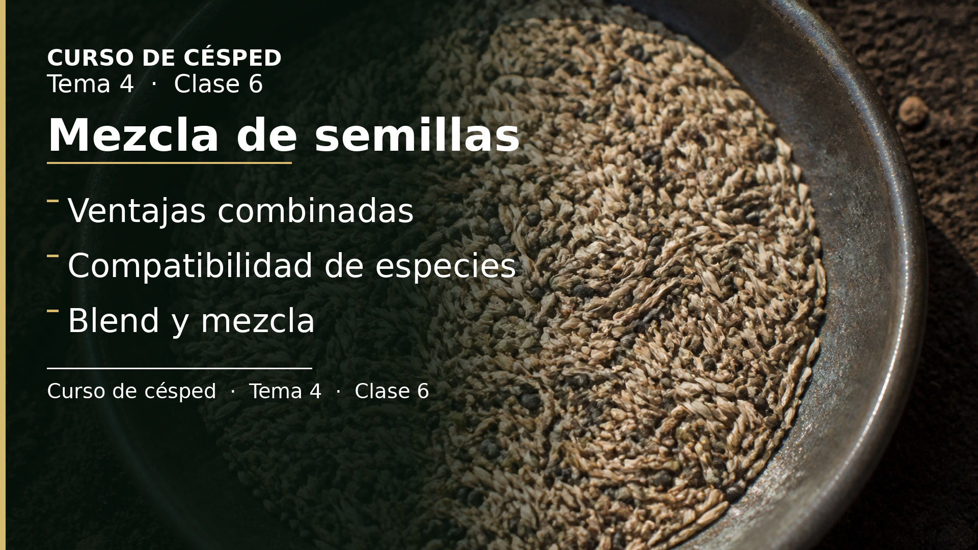 Diapositiva de la clase 6: Mezcla de semillas