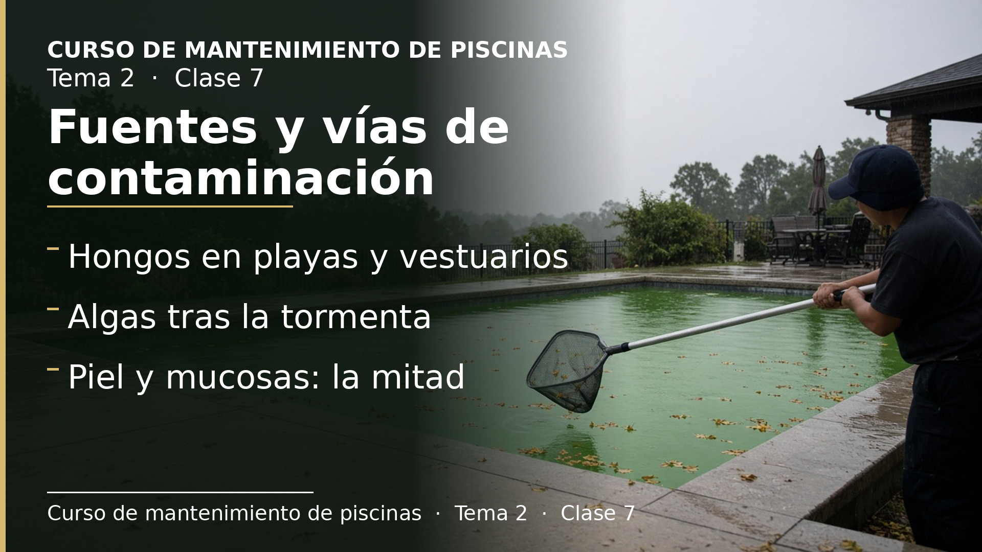 Diapositiva de la clase 7: Hongos, algas y las fuentes de contaminación, y cómo entran en el cuerpo