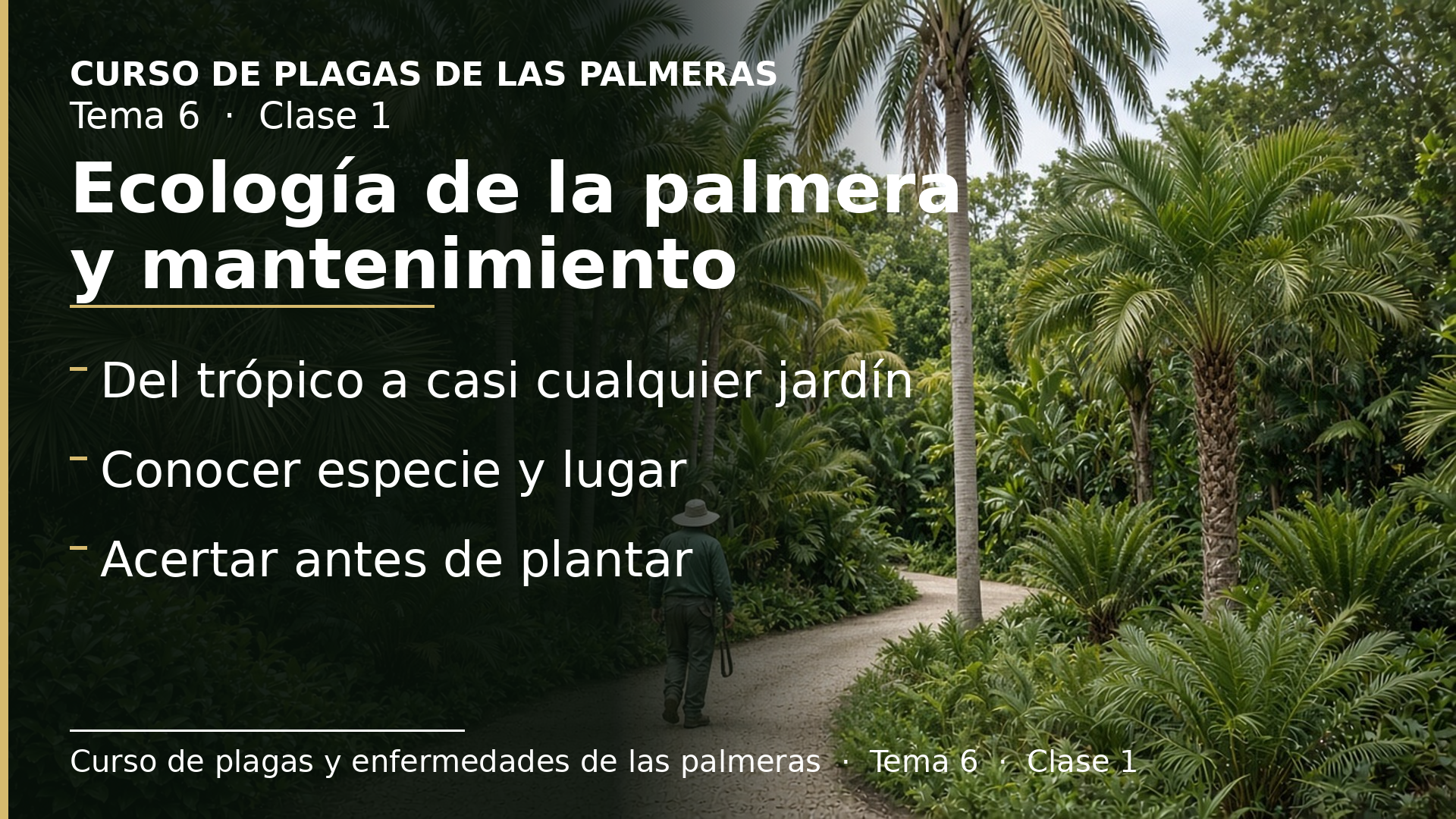 Diapositiva de la clase 1: Ecología de la palmera y mantenimiento