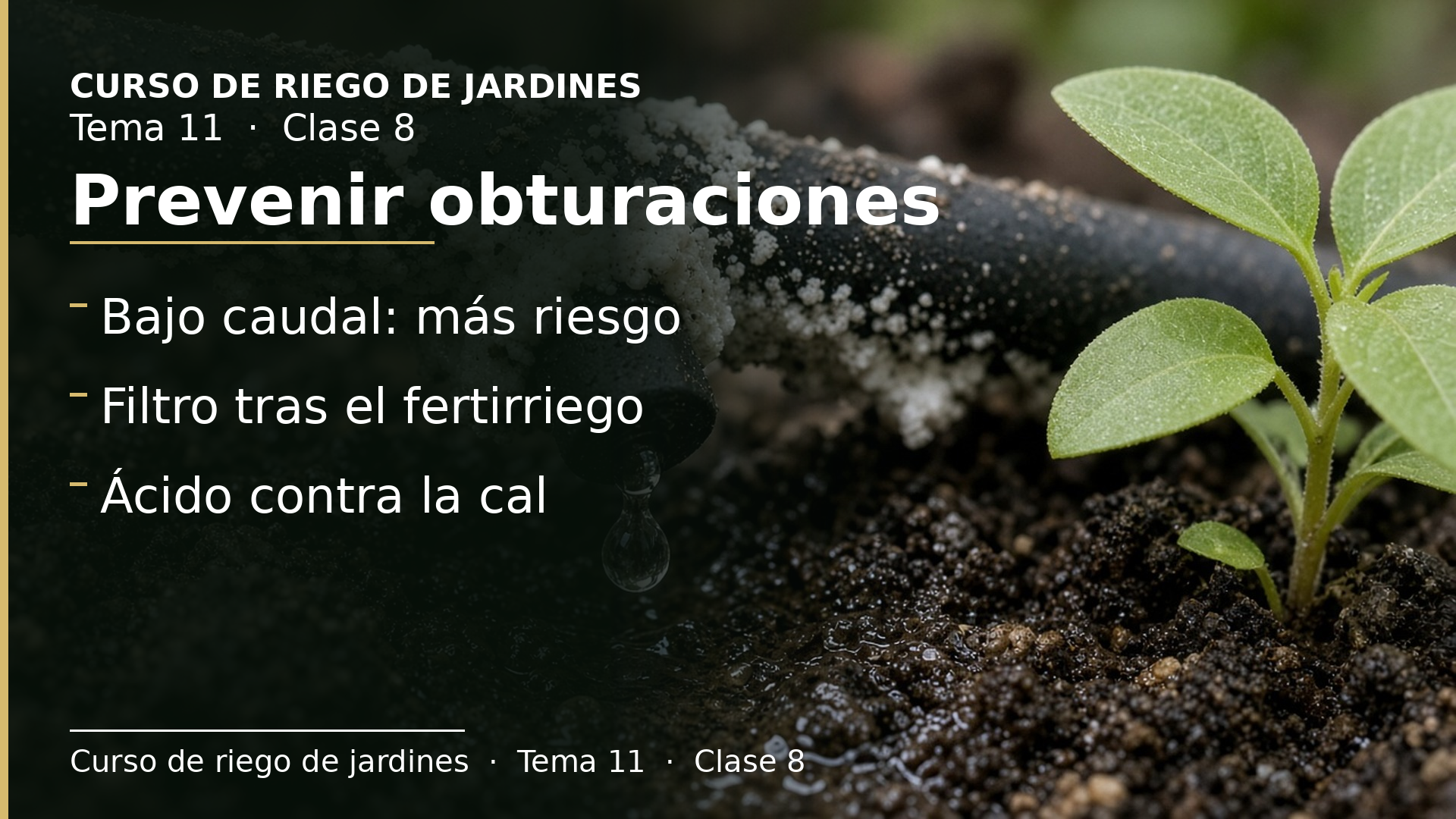 Diapositiva de la clase 8: Prevenir obturaciones en los goteros (I)