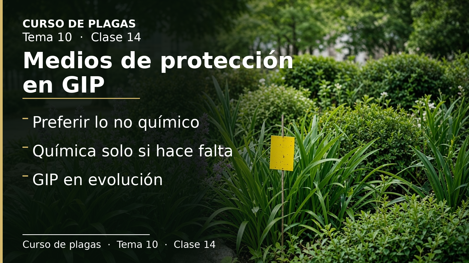 Diapositiva de la clase 14: Medios de protección en GIP
