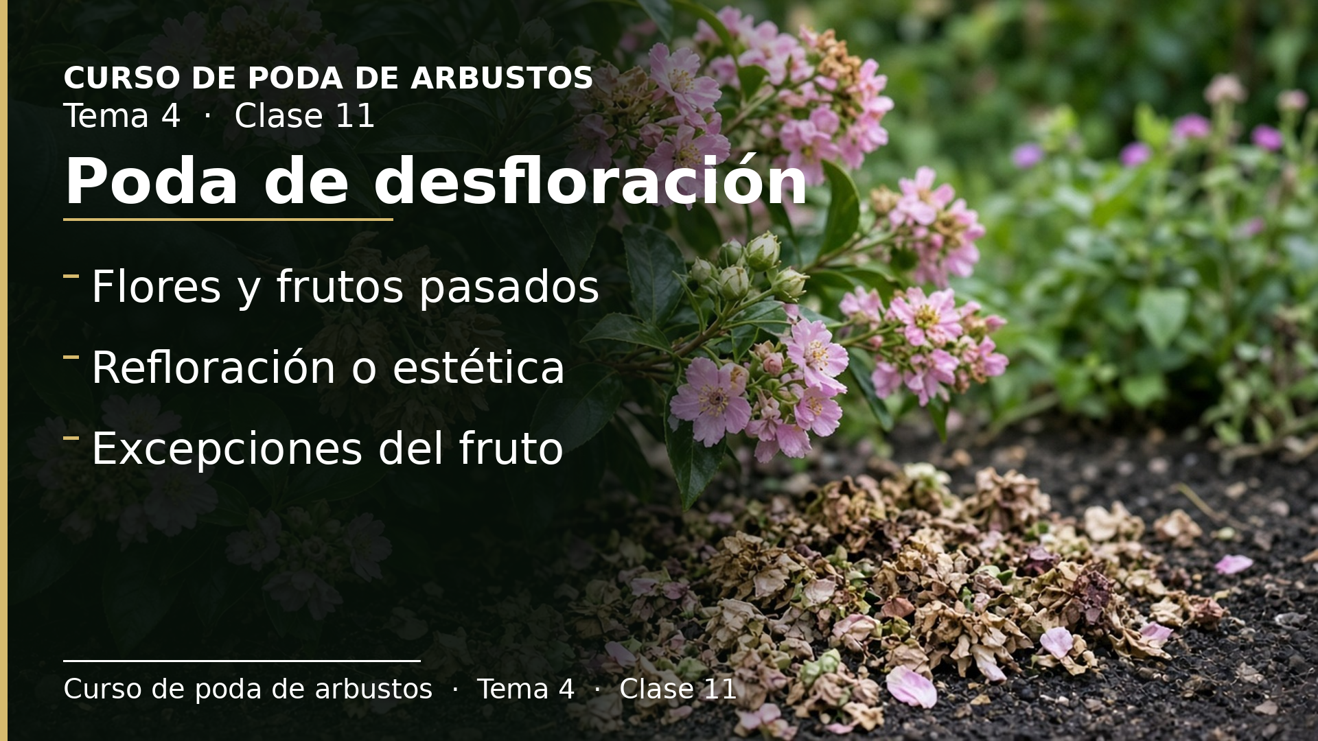 Diapositiva de la clase 11: Poda de desfloración