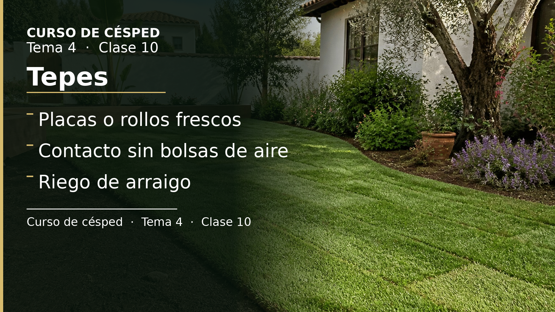 Diapositiva de la clase 10: Tepes