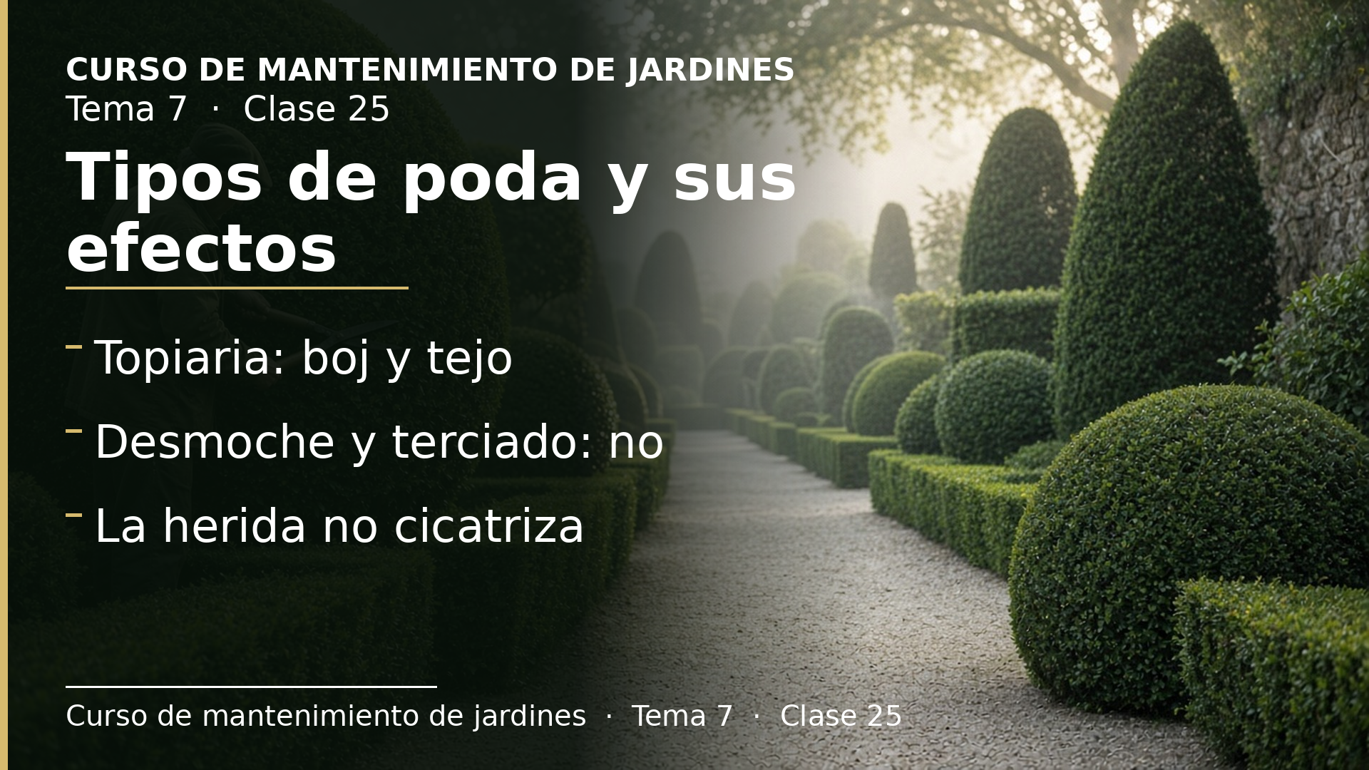 Diapositiva de la clase 25: Tipos de poda y sus efectos