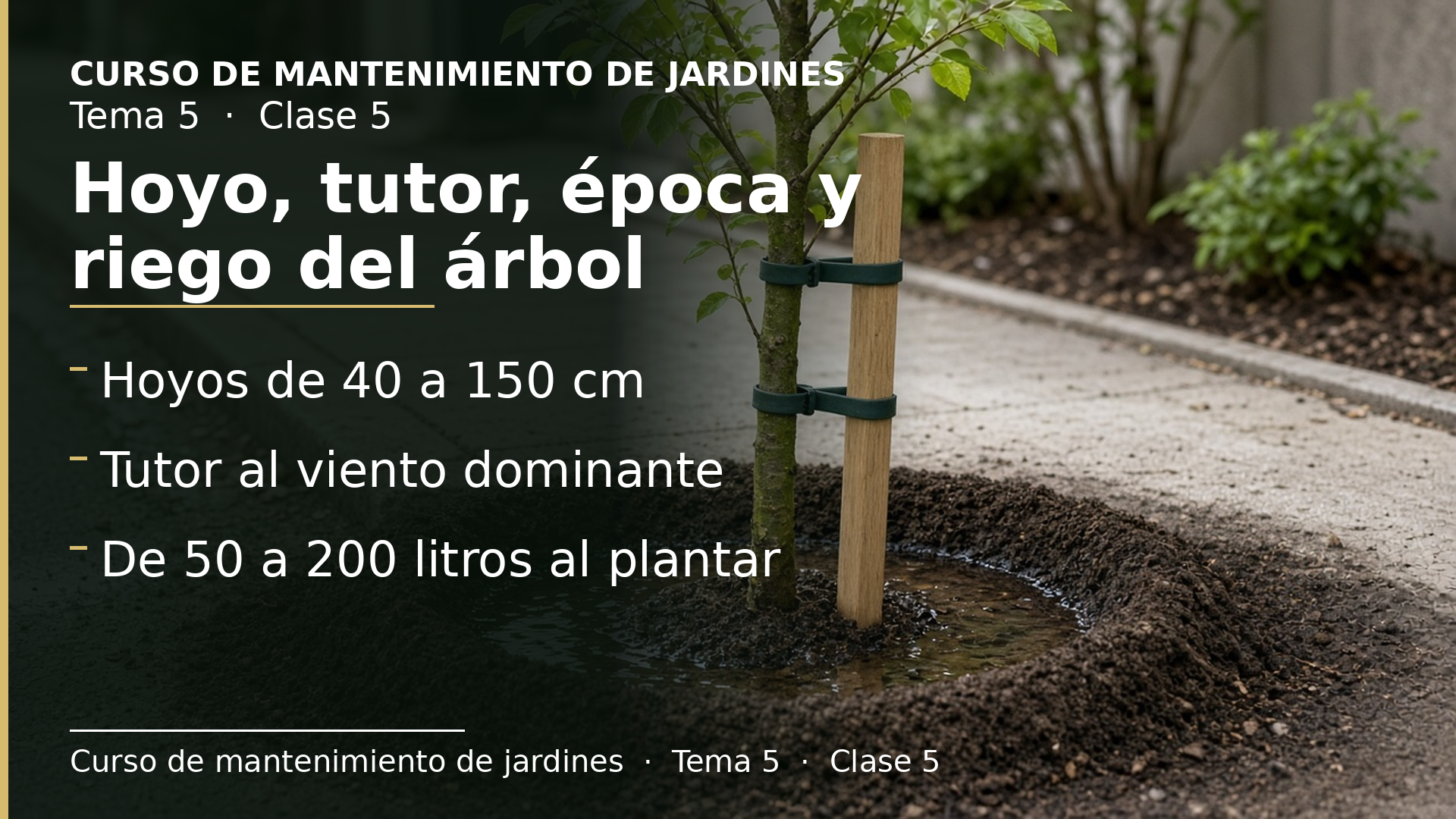 Diapositiva de la clase 5: Hoyo, entutorado, época y riego del árbol recién plantado