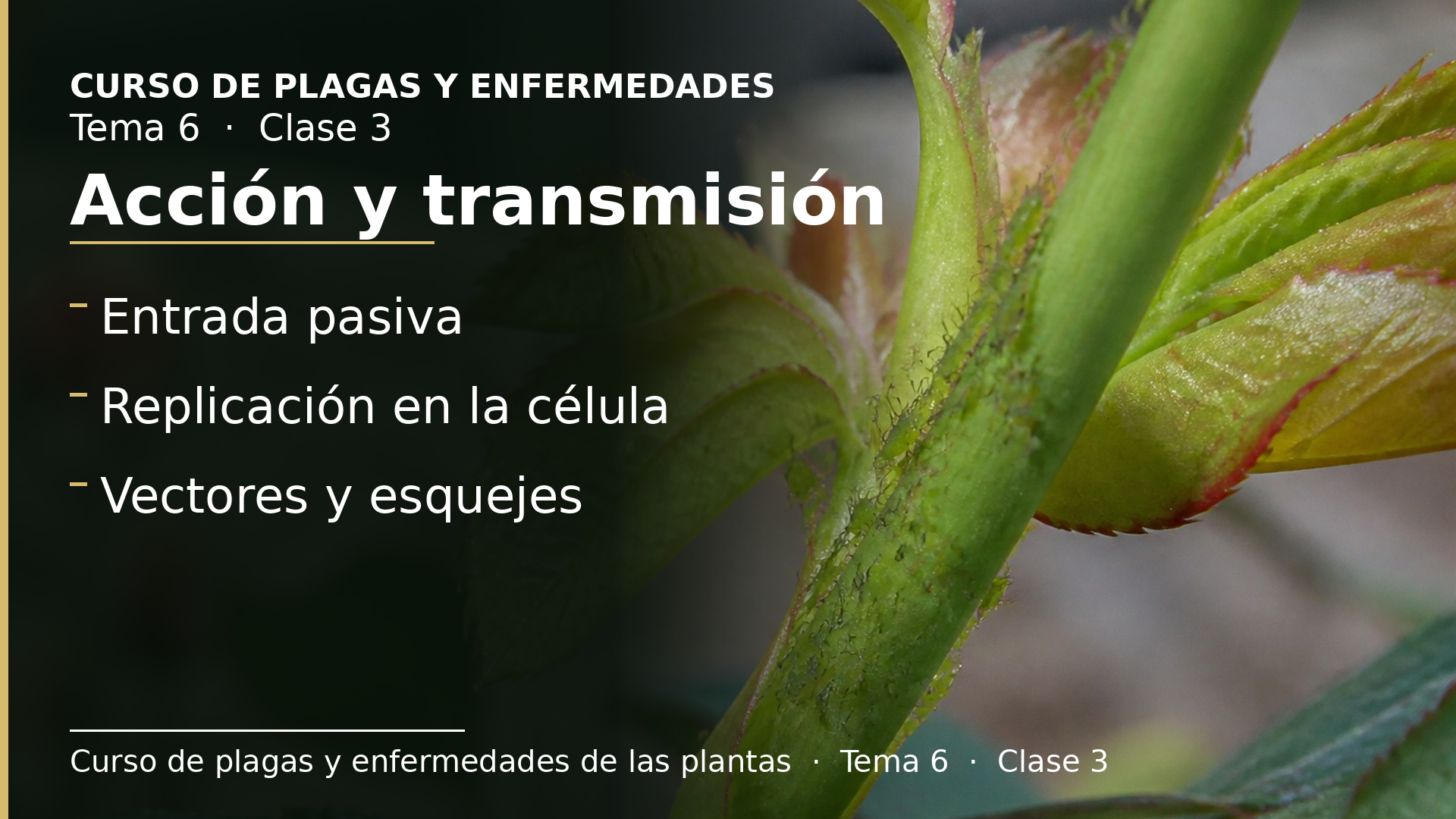 Diapositiva de la clase 3: Modo de acción y transmisión