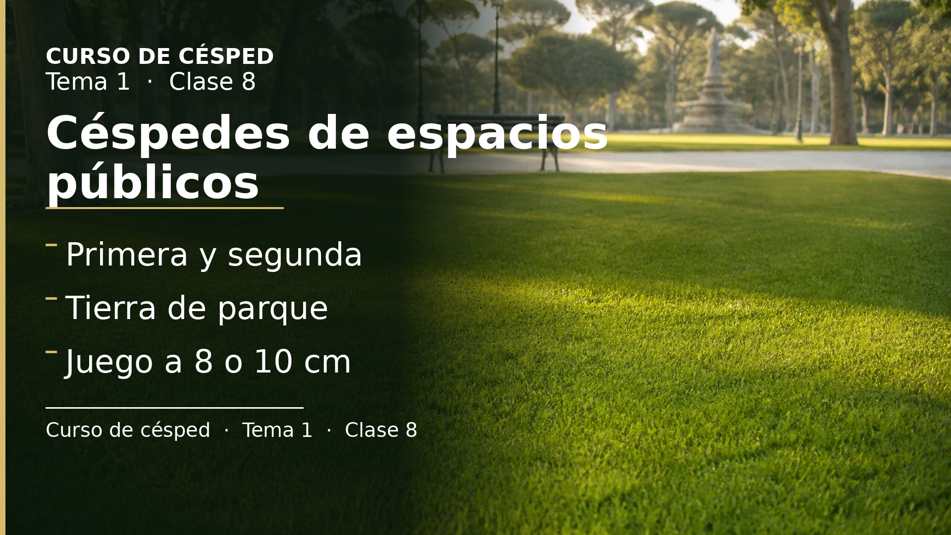 Diapositiva de la clase 8: Céspedes de espacios públicos