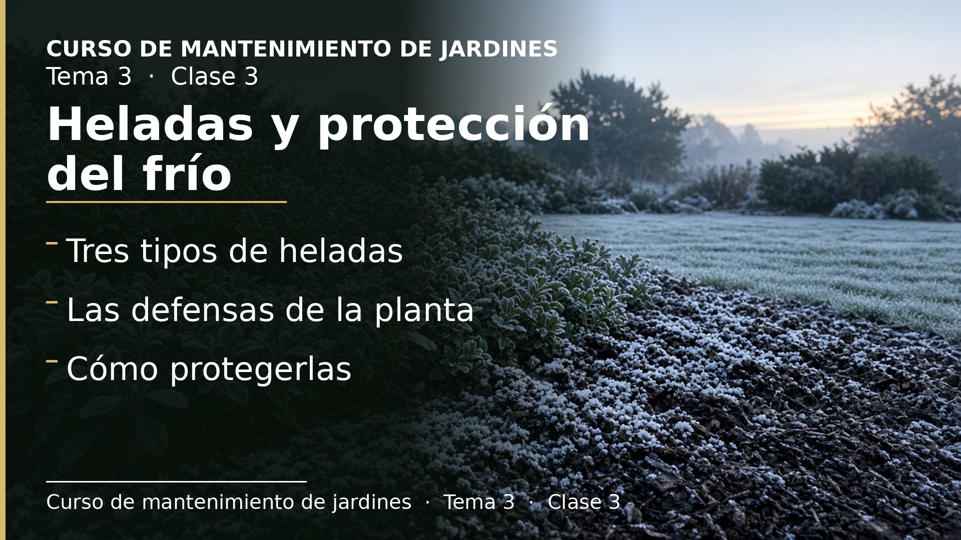 Diapositiva de la clase 3: Heladas y cómo proteger las plantas del frío
