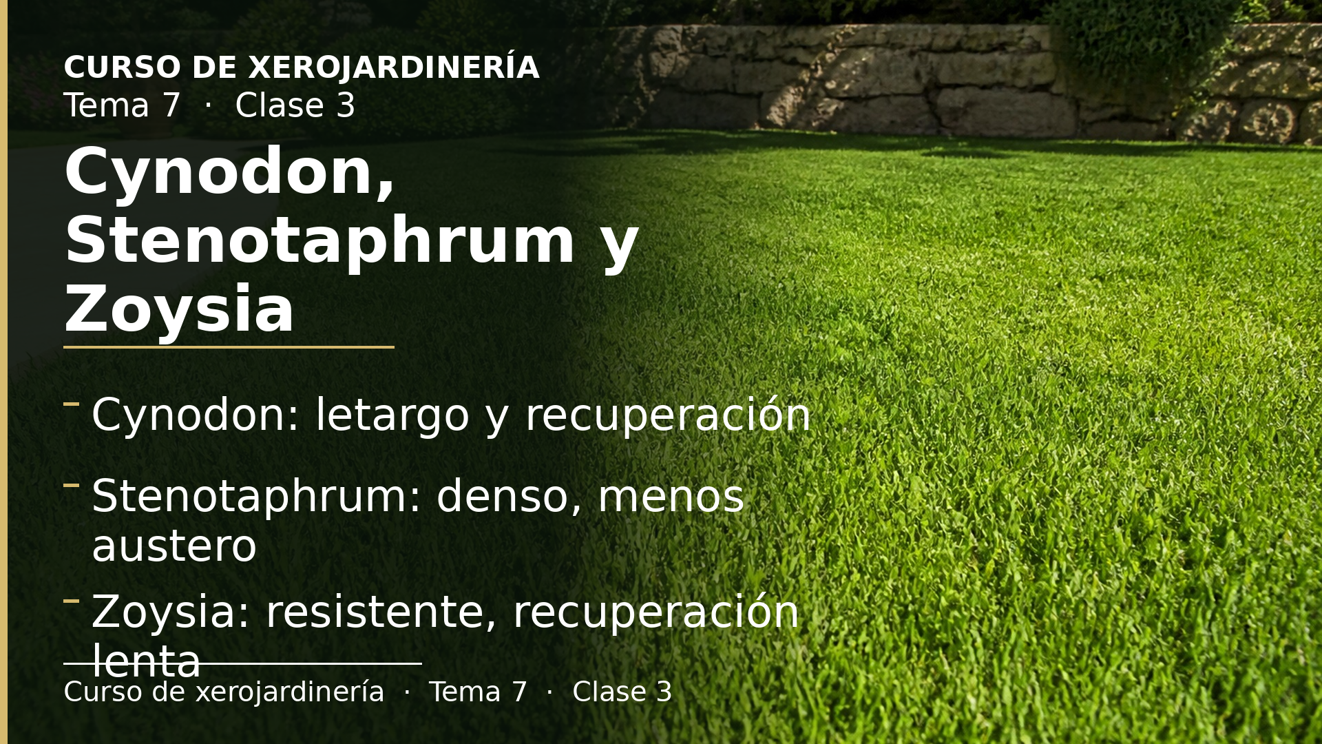 Diapositiva de la clase 3: Cynodon, Stenotaphrum y Zoysia