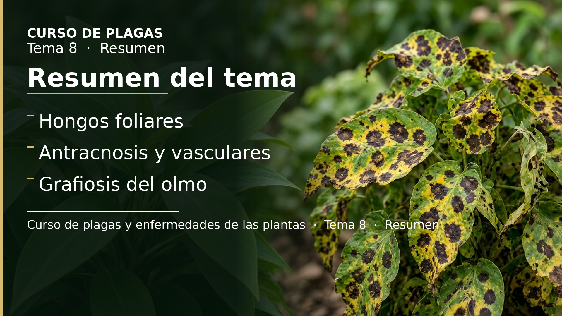 Diapositiva del resumen: Resumen del tema