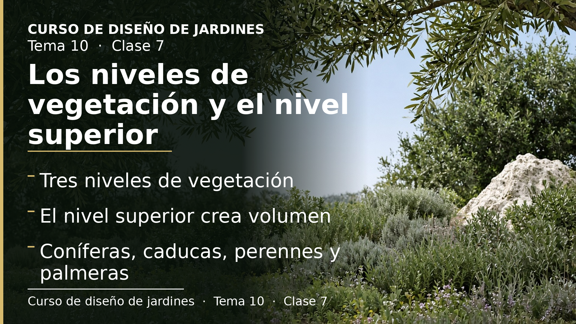 Diapositiva de la clase 7: Los niveles de vegetación y el nivel superior