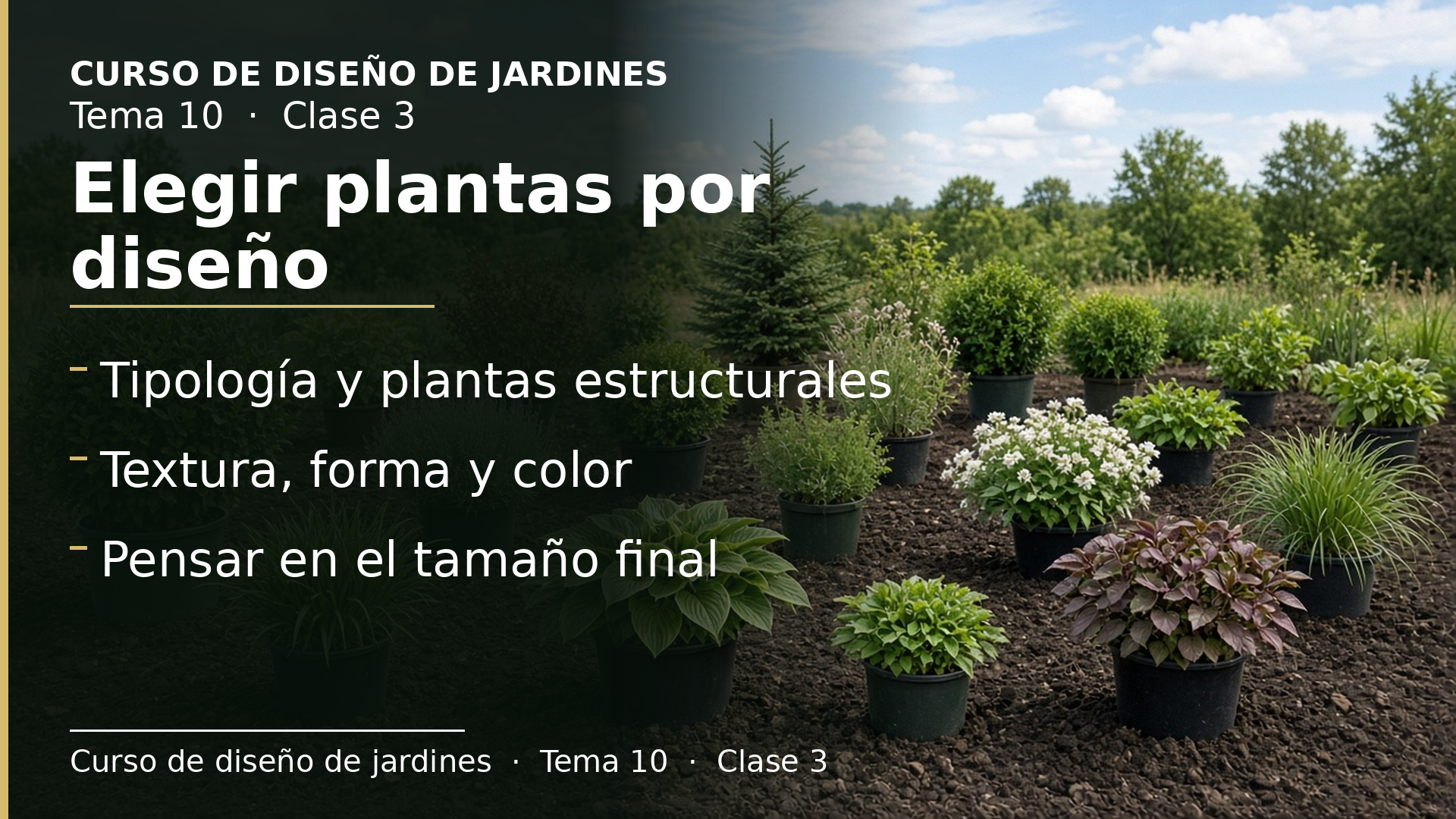 Diapositiva de la clase 3: Seleccionar plantas por criterios de diseño