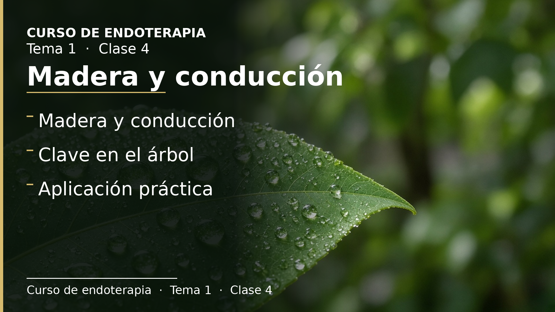 Diapositiva de la clase 4: Madera y conducción
