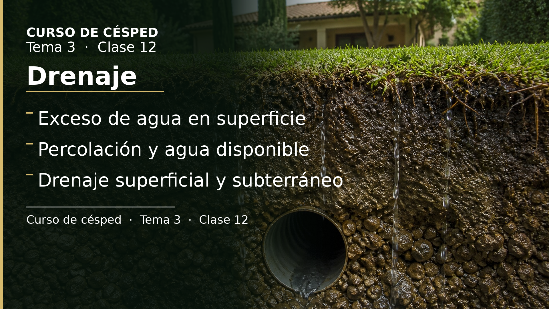 Diapositiva de la clase 12: Drenaje