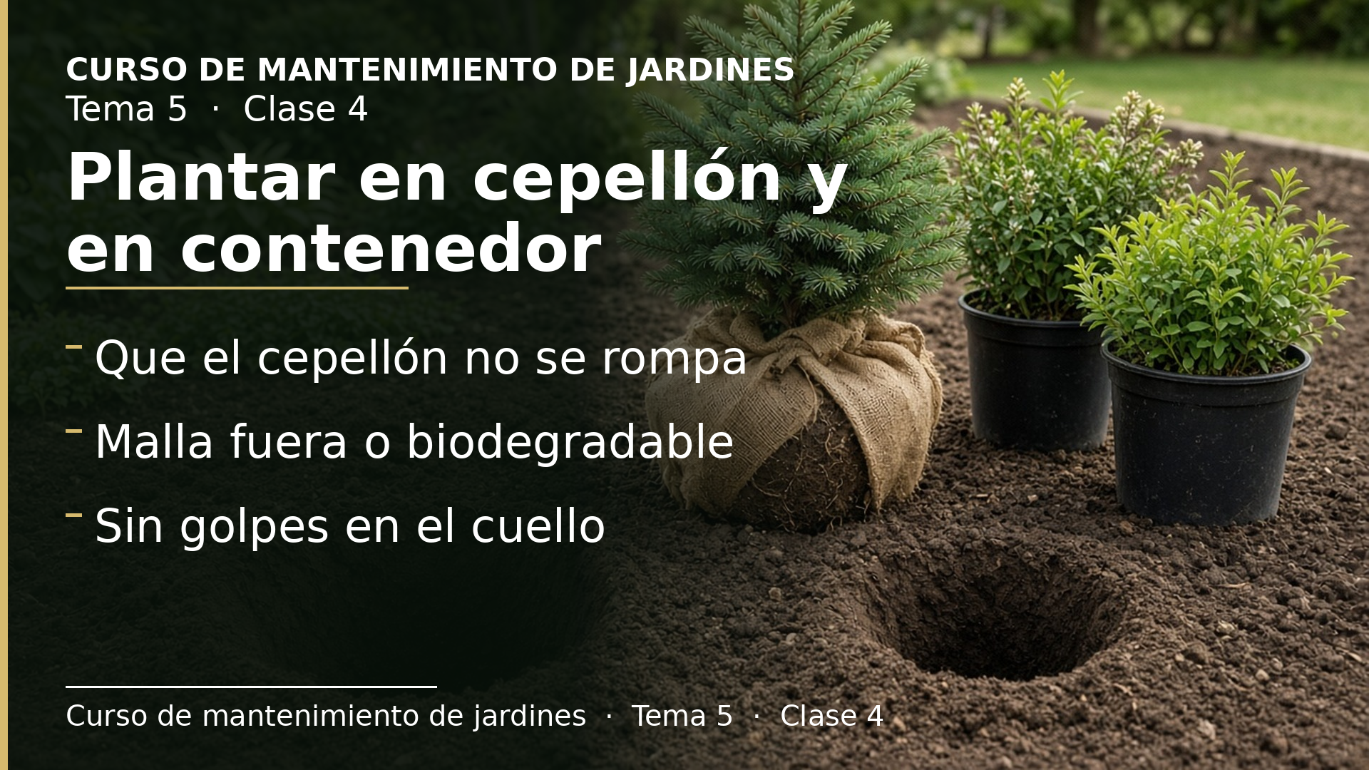 Diapositiva de la clase 4: Plantar en cepellón y en contenedor