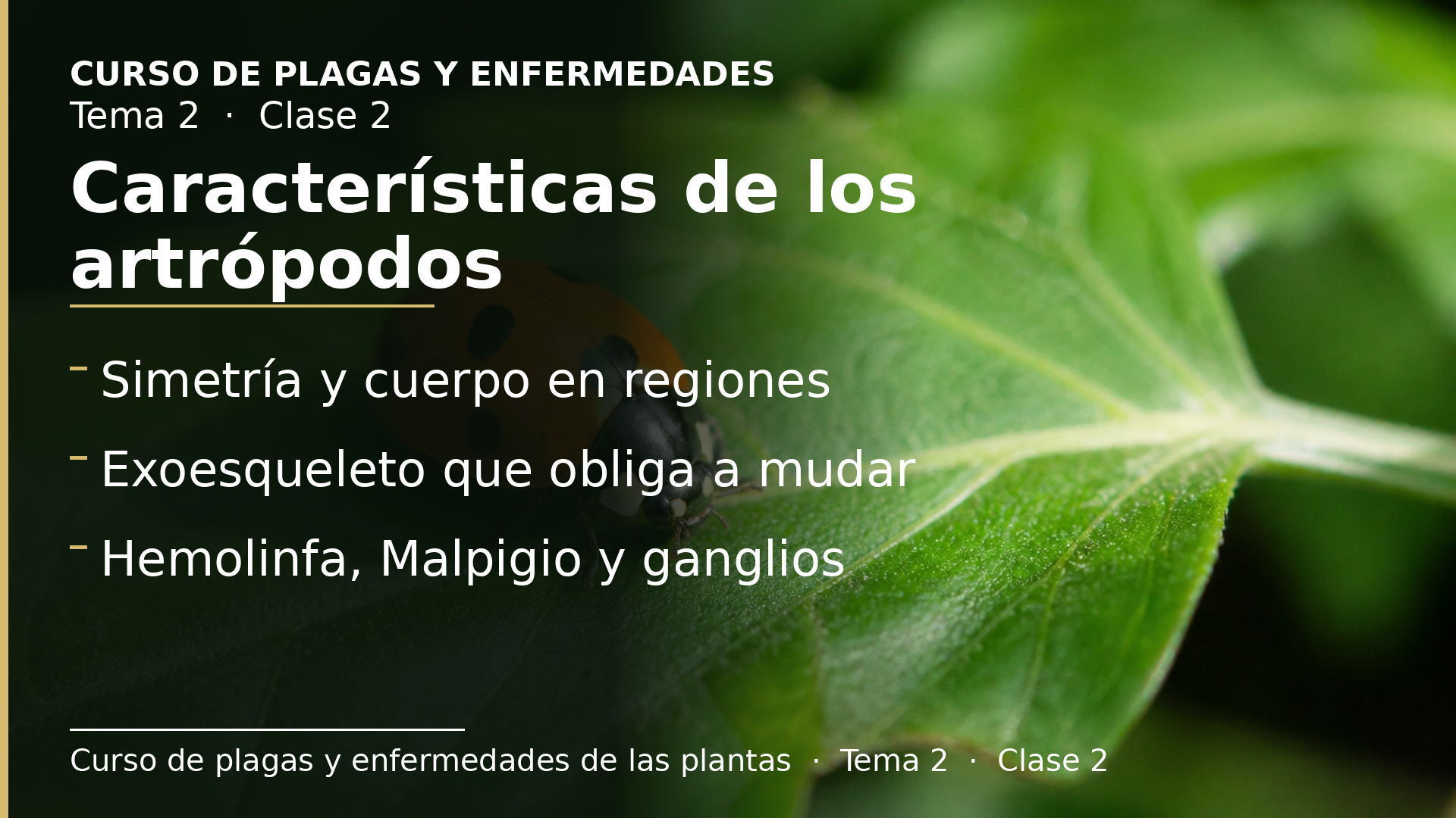 Diapositiva de la clase 2: Características principales de los artrópodos