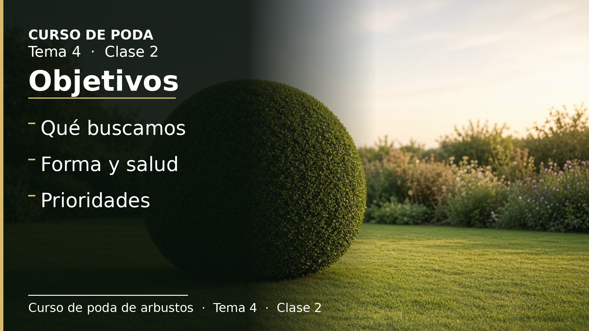 Diapositiva de la clase 2: Objetivos