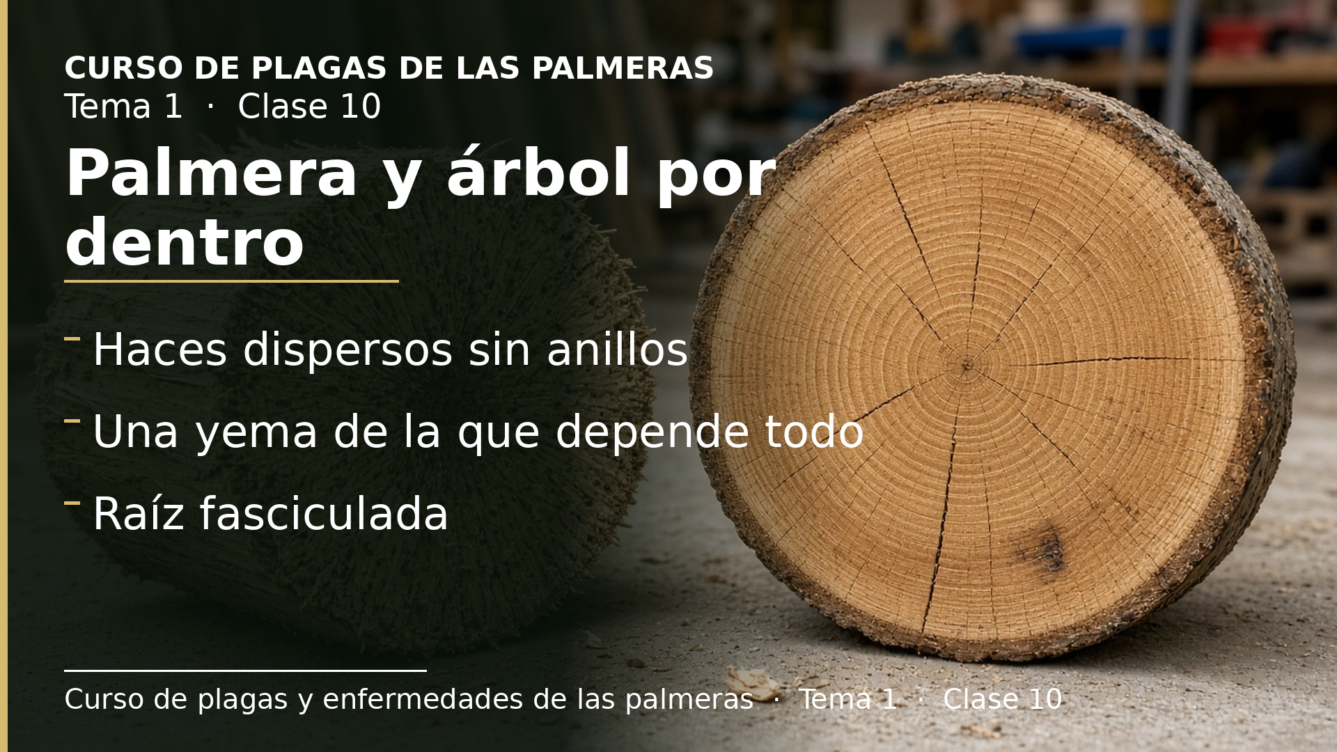 Diapositiva de la clase 10: Lo que cambia por dentro: vasos, yemas, raíces y consecuencias para el cuidado