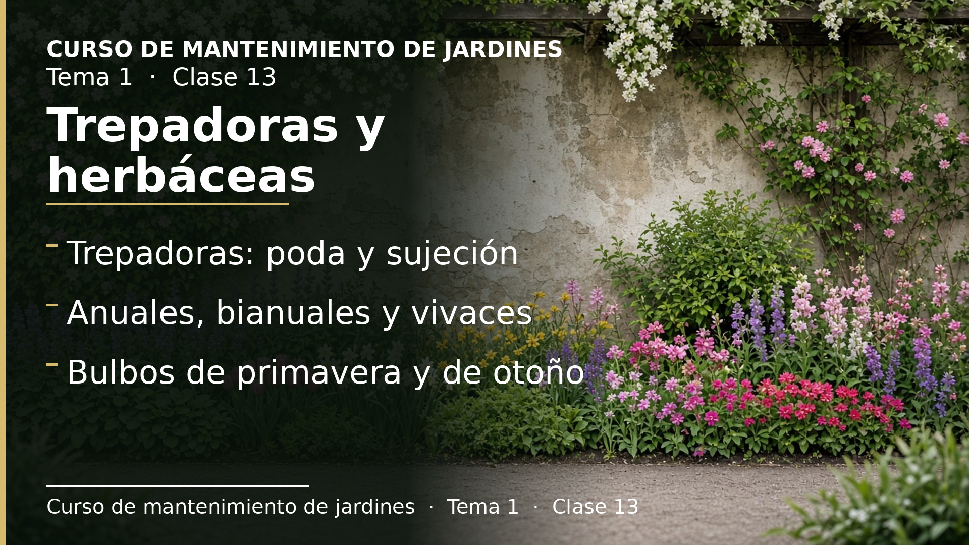 Diapositiva de la clase 13: Trepadoras y plantas herbáceas