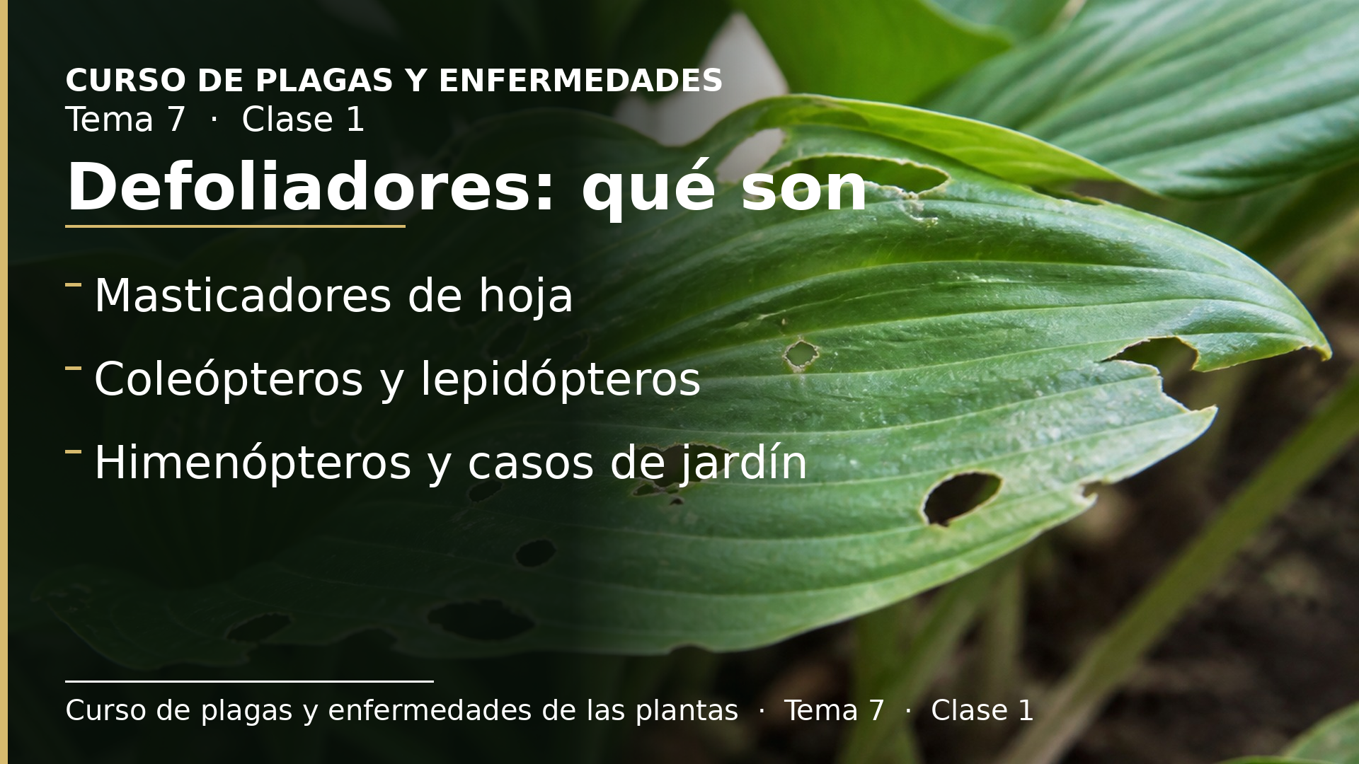 Diapositiva de la clase 1: Defoliadores: qué son y grupos principales