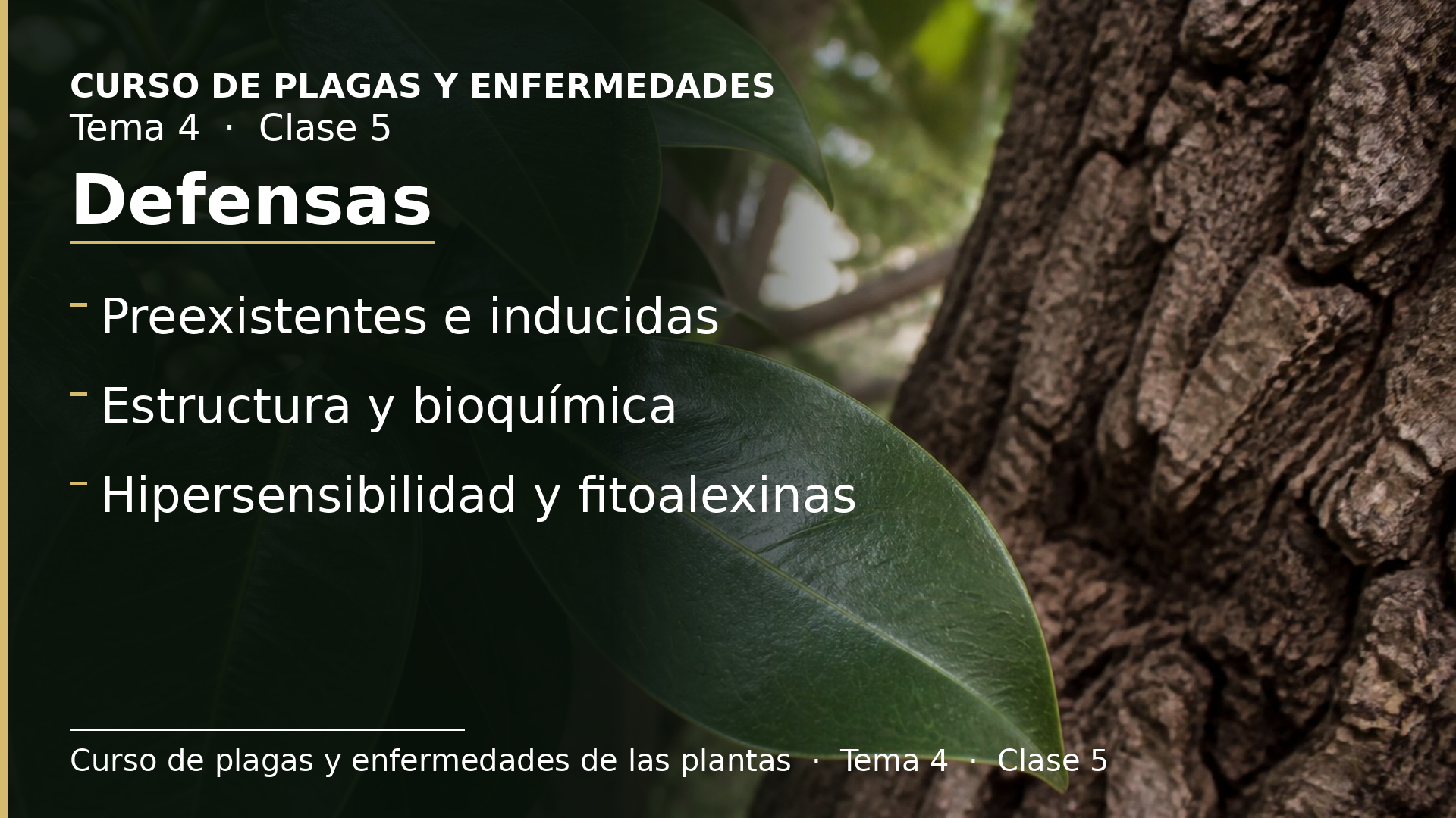 Diapositiva de la clase 5: Mecanismos de defensa